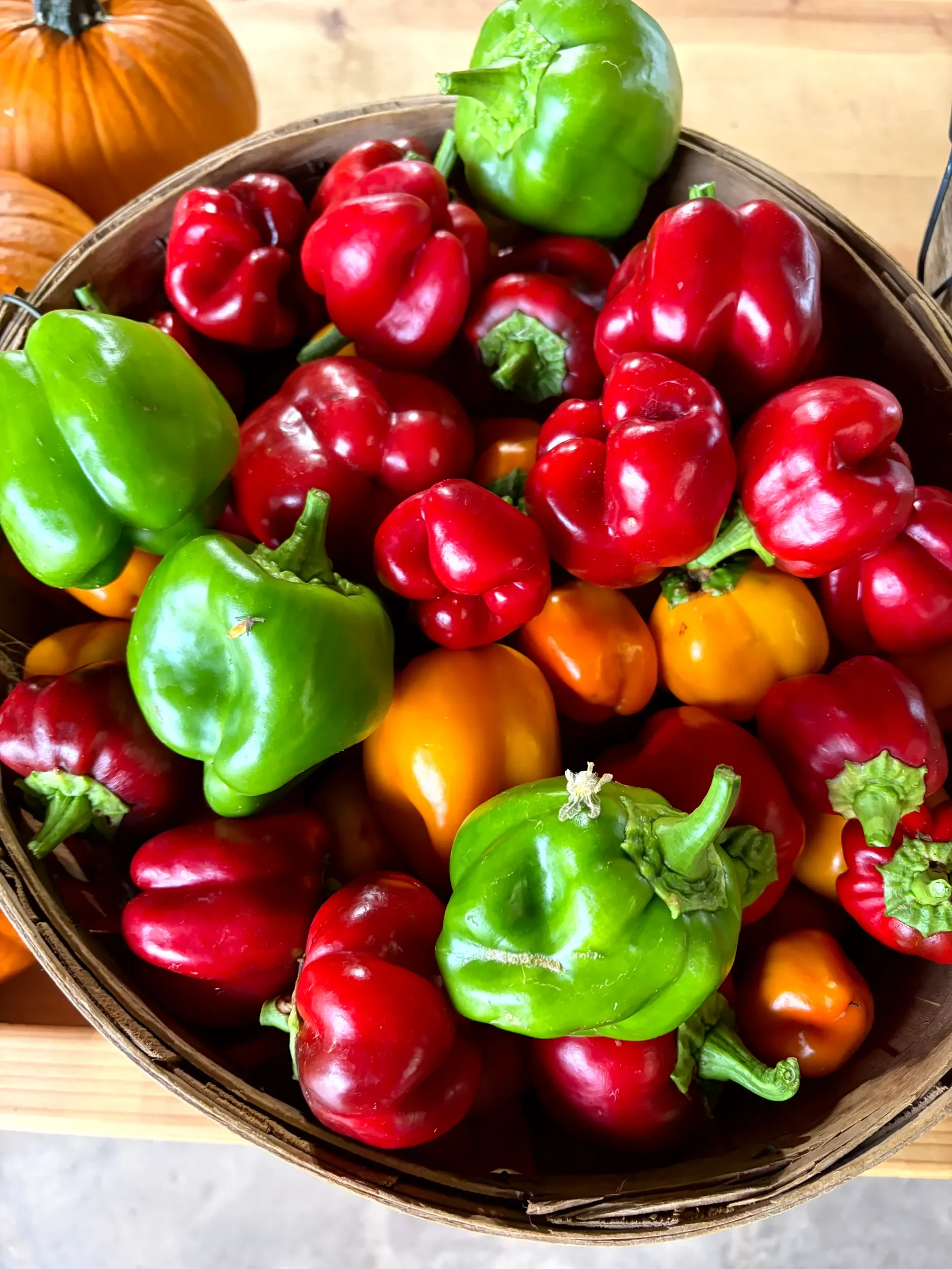 Colorful bell peppers of green, red, and orange in a basket.