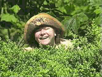 A woman smiling, wearing a large straw hat, peeking over lush green bushes in a garden.