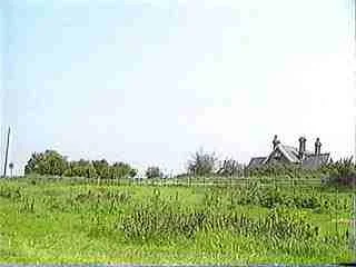 A rural field with green grass and a few trees, a house with a sloped roof, and a clear sky.