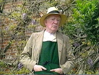 An elderly woman wearing a wide-brimmed hat, beige coat, and green dress standing outdoors in a garden with green plants and purple flowers.