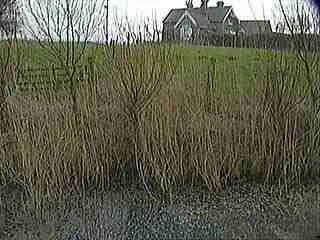 A house on a hill surrounded by trees and tall grass with a cloudy sky.