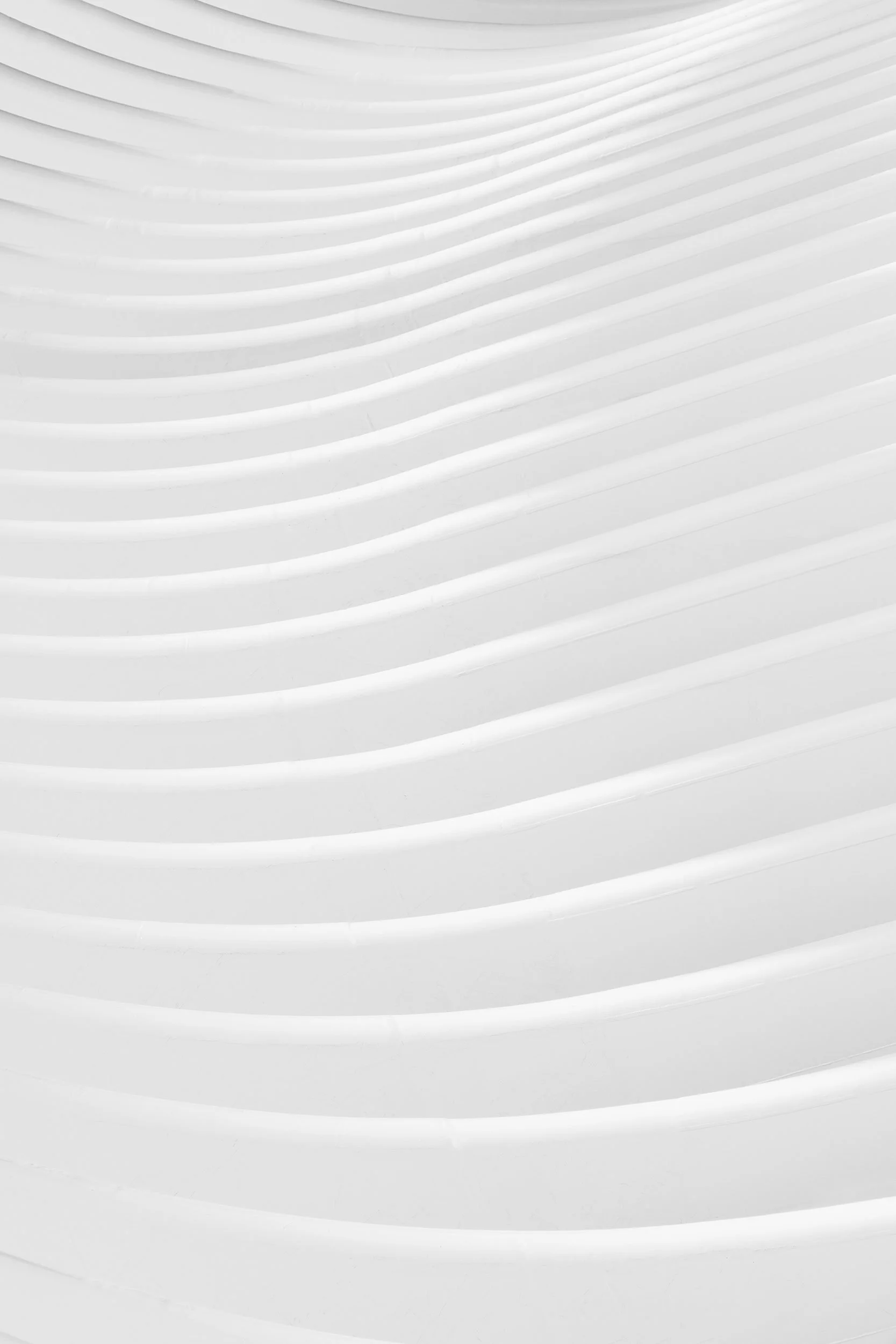 The Architekt by Nima Chaichi.jpg