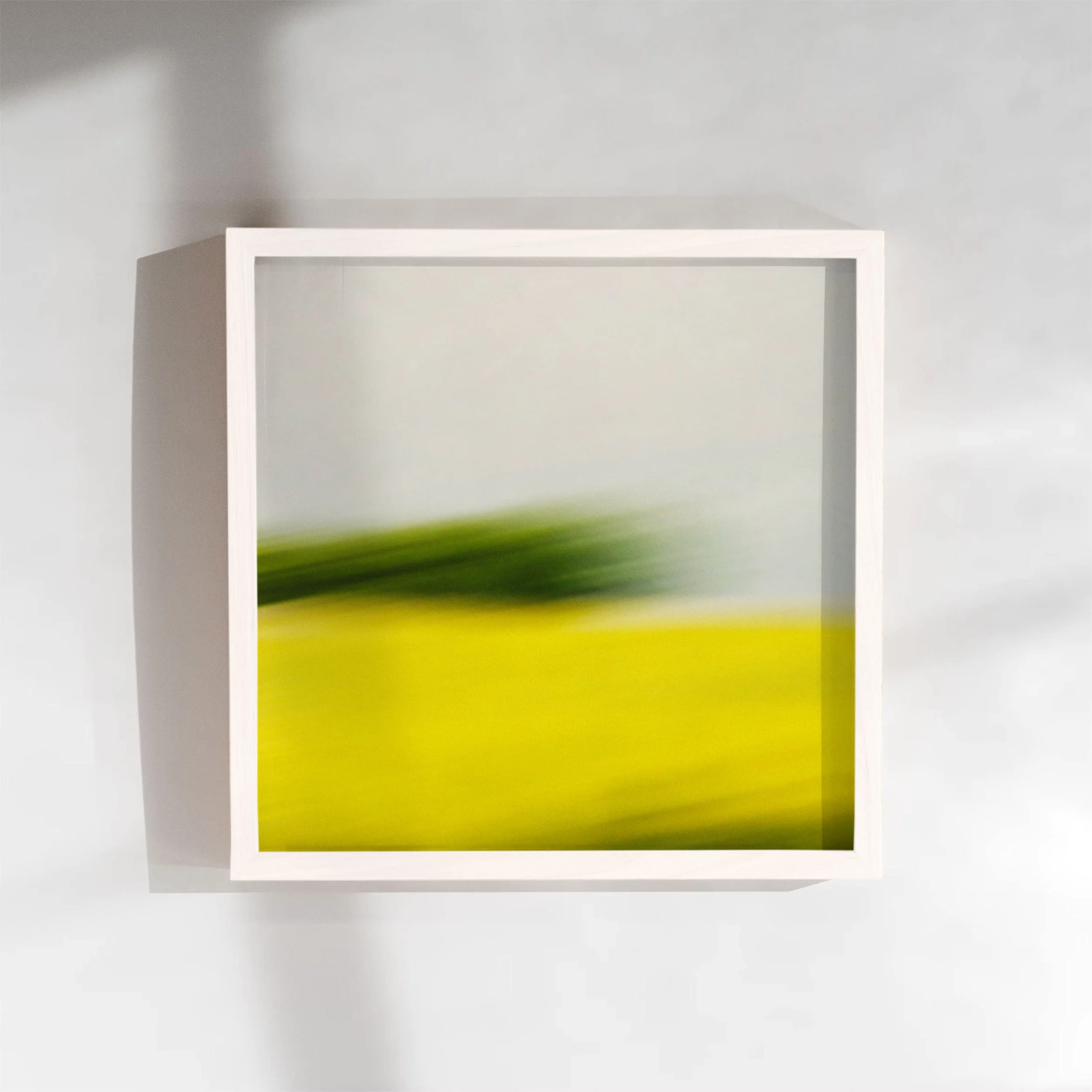 Yellow in Green by Nima Chaichi in Frame.jpg