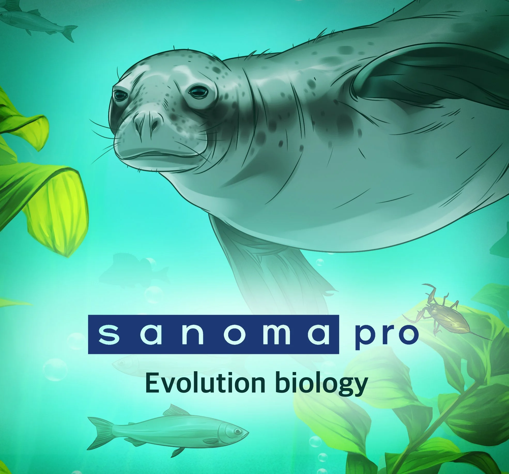 Sanoma pro 1.jpg