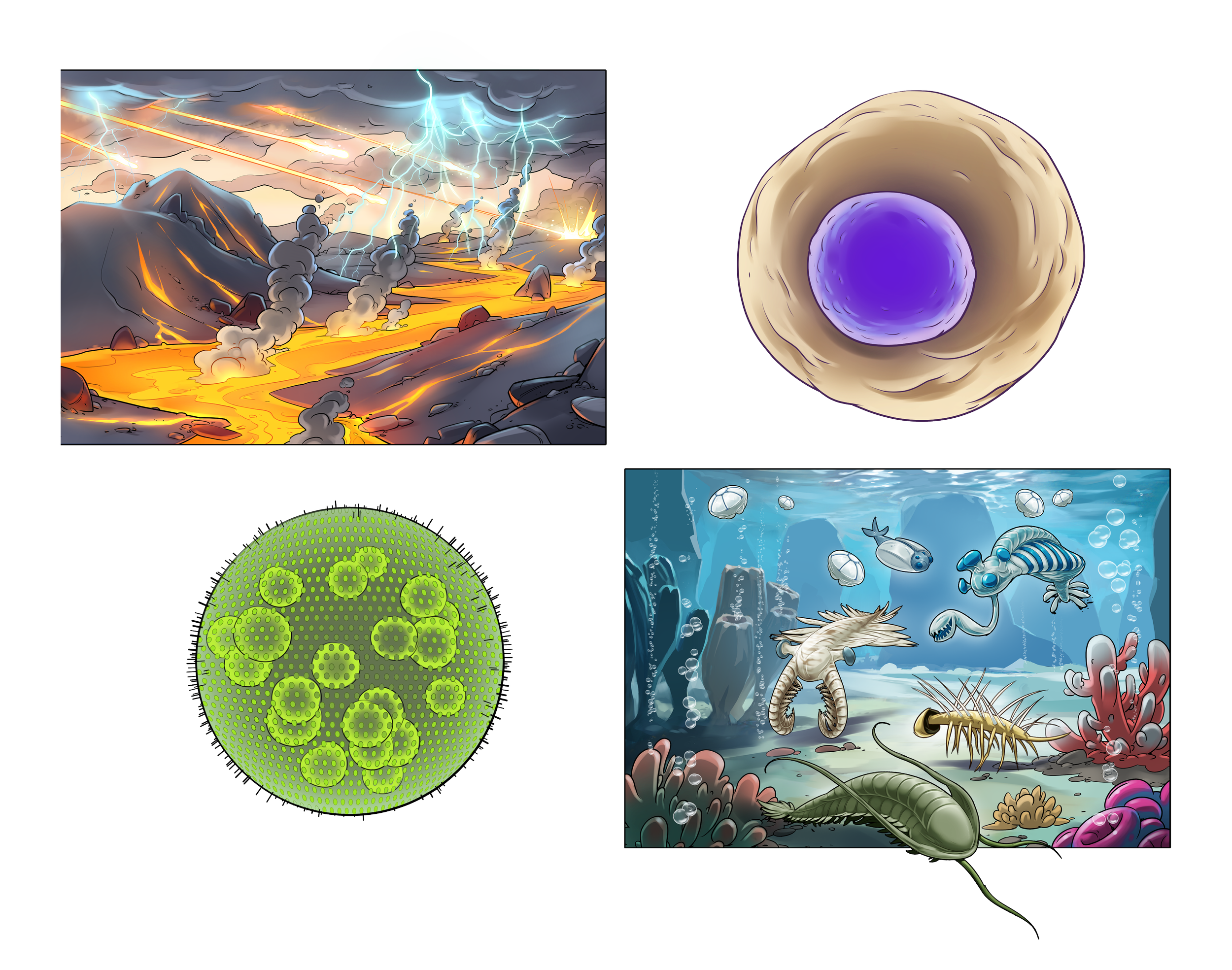 KO7_02_06_12a-c_pT_Birth_Of_Life.png