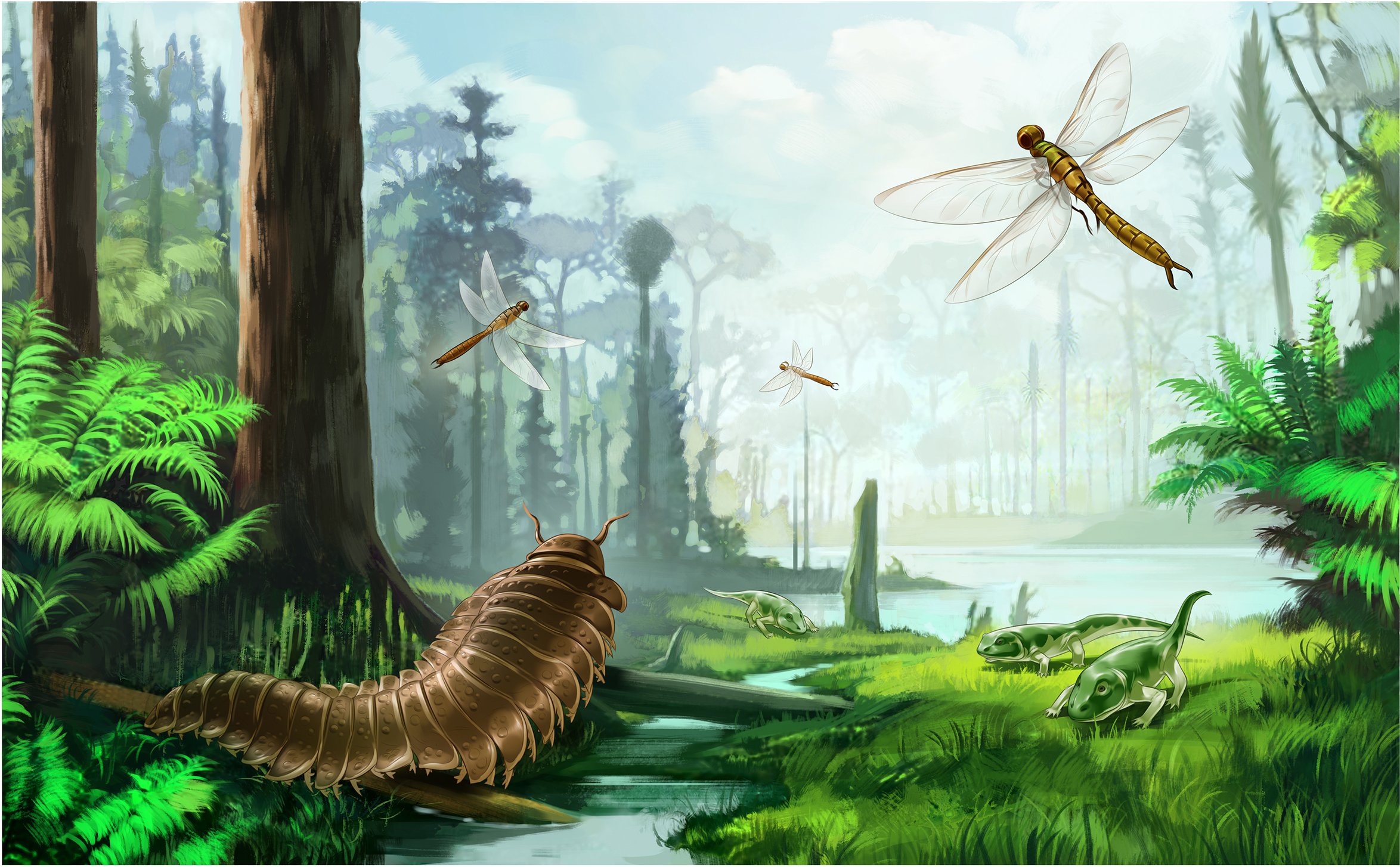 7_2P Carboniferous 3.jpg