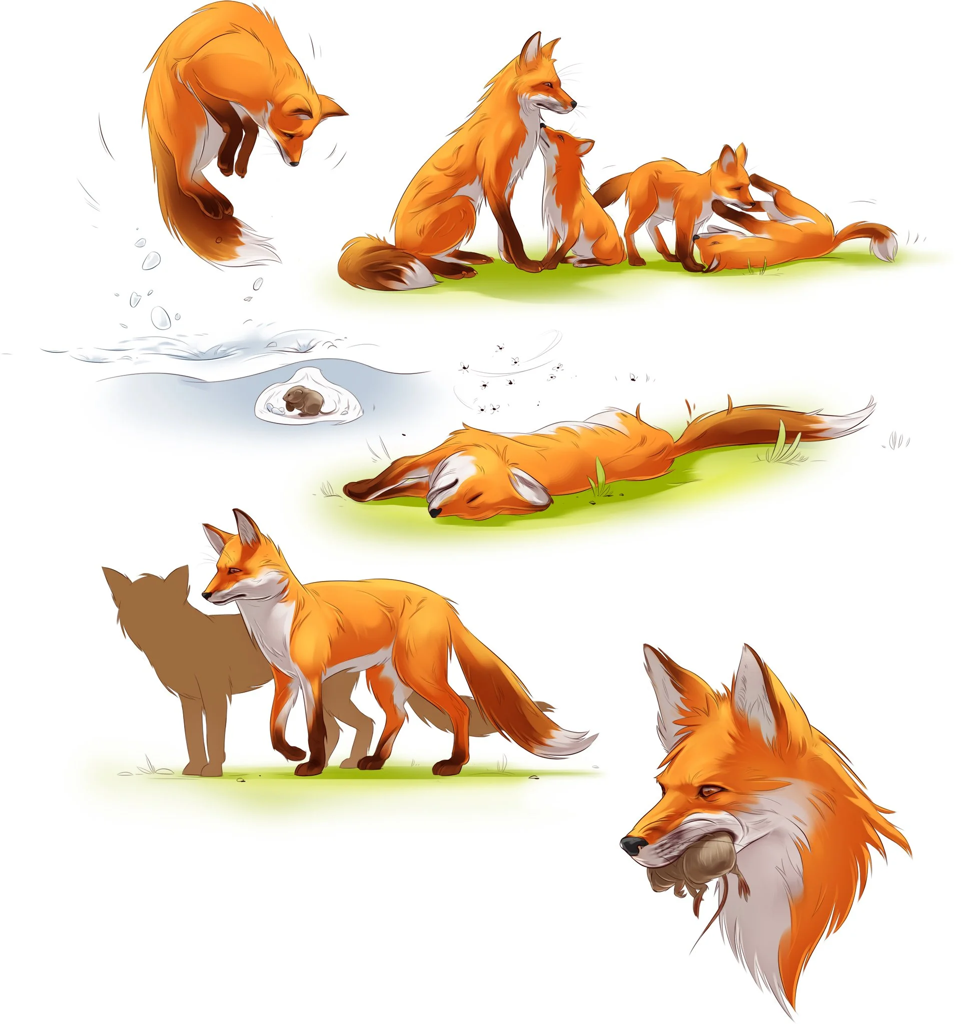 1_3P_Fox v3.jpg