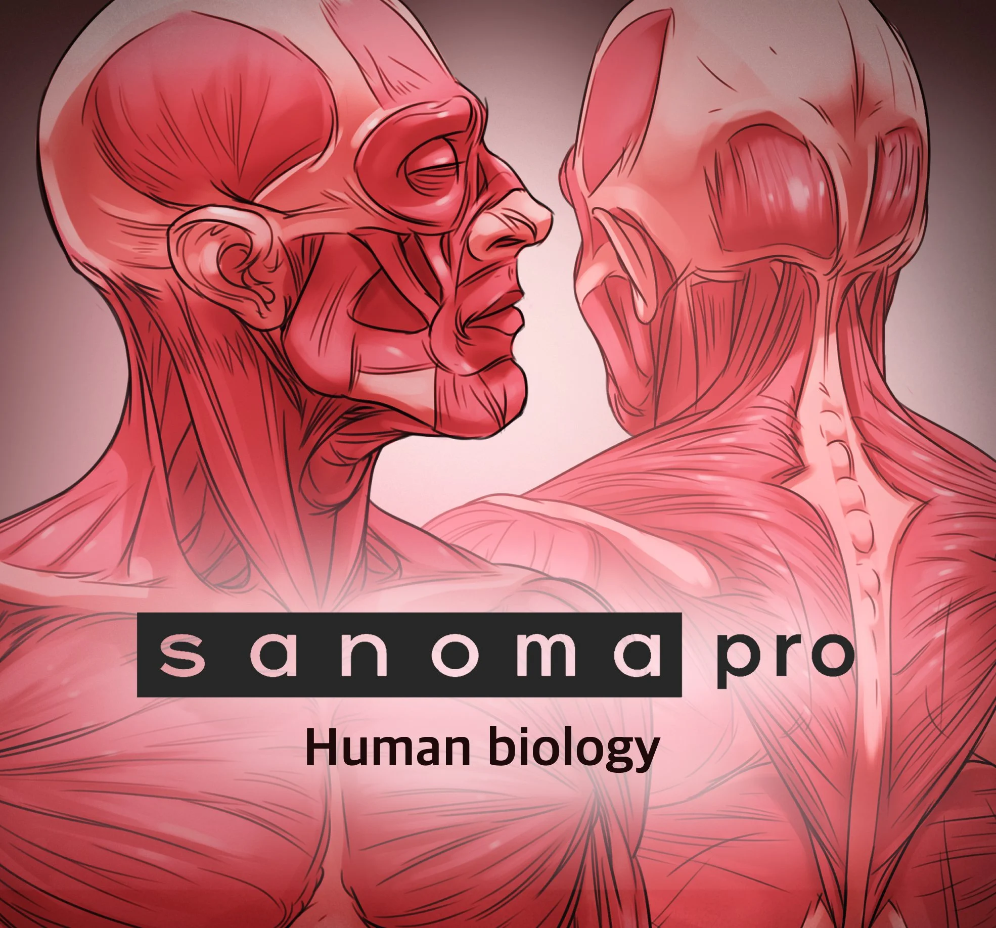Sanoma pro 3.jpg