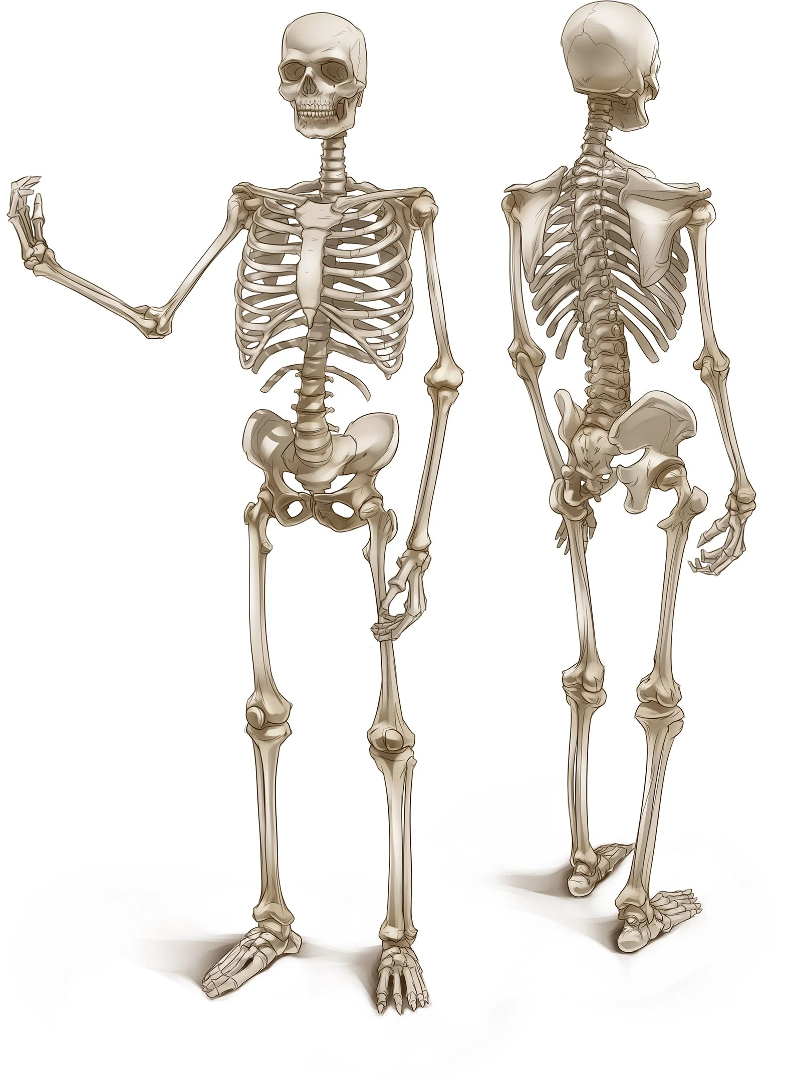 8_12_P_BonesFemale2_preFinal_2.jpg