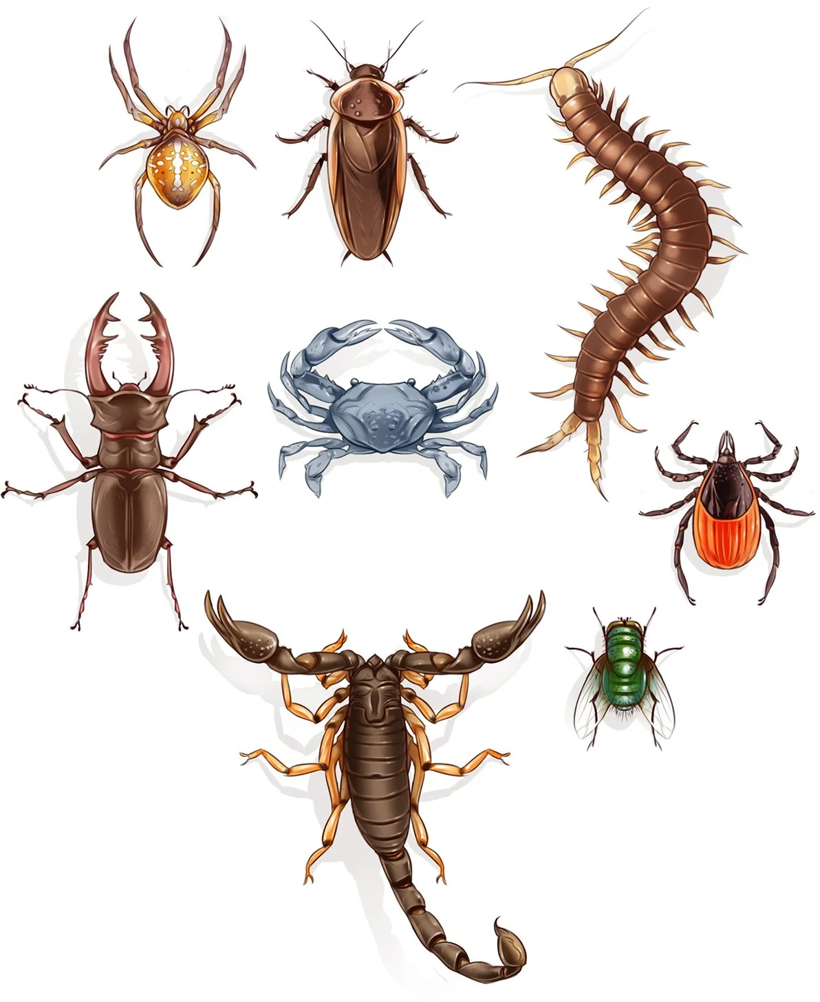 11_19P Insects2 Actual Size.jpg