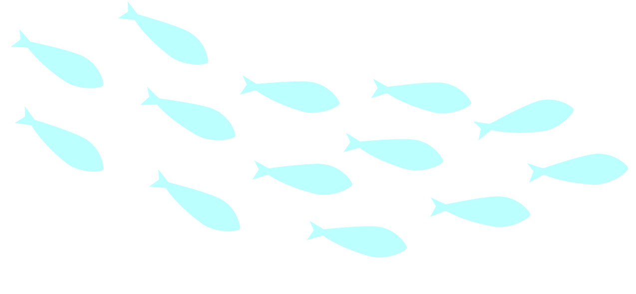 School of light blue fish silhouettes swimming against a black background