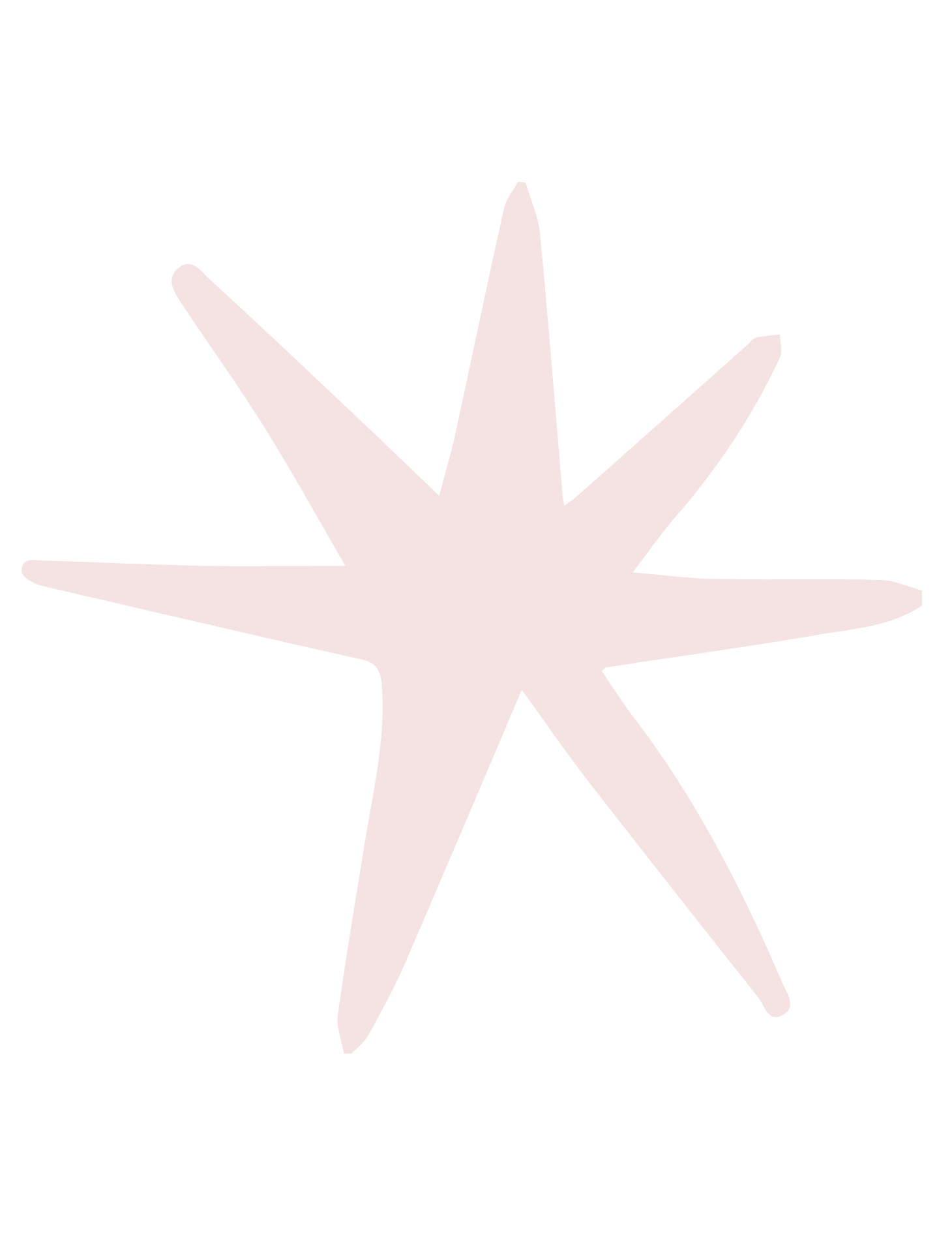 Stylized pale pink eight-pointed starfish silhouette on a black background