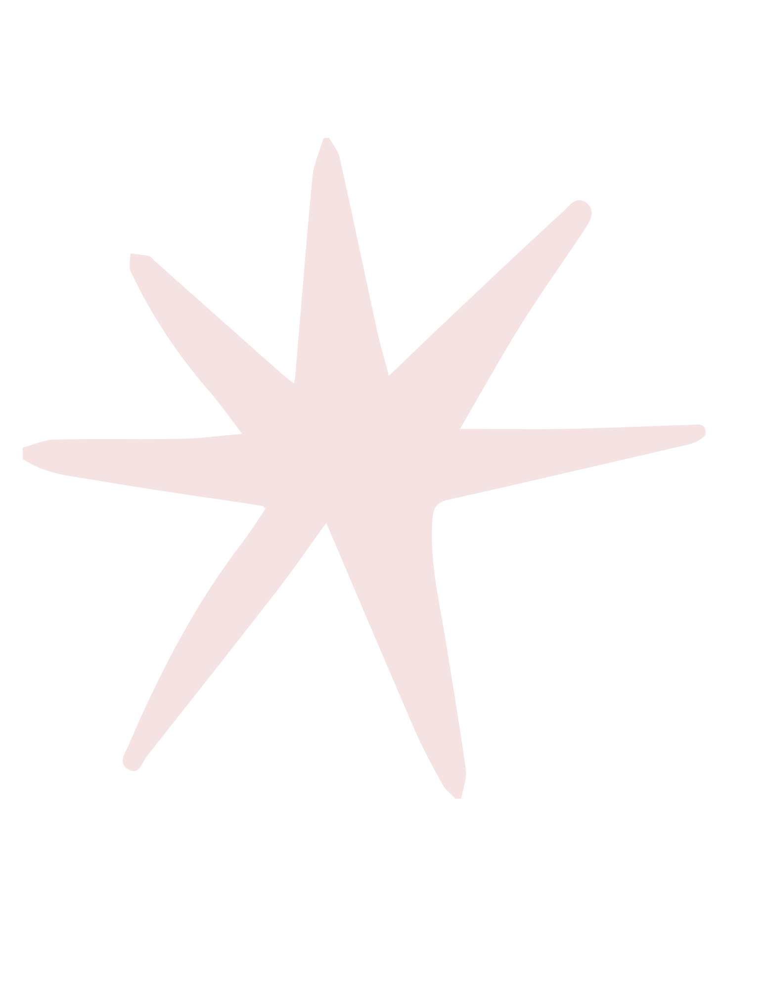 Stylized pale pink starfish silhouette on a black background