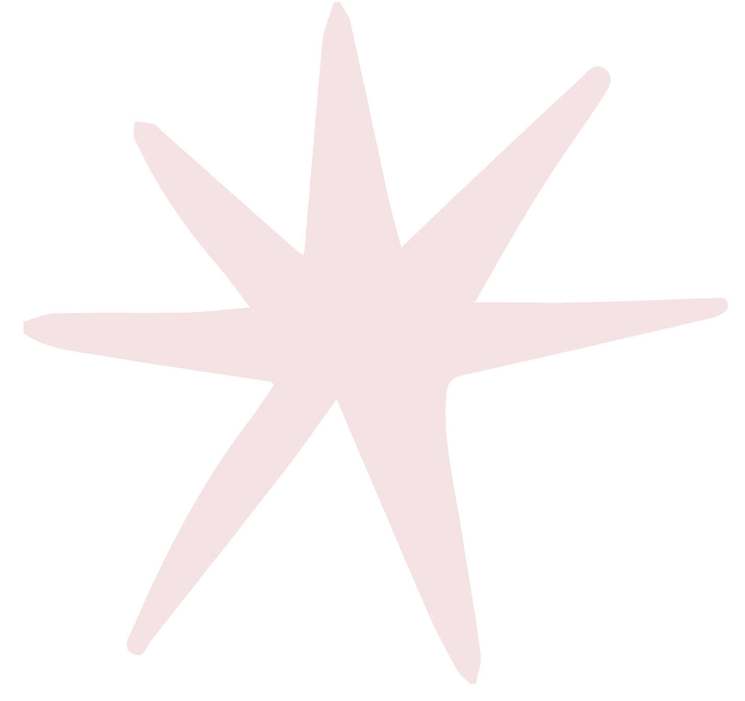 Stylized pale pink five-pointed starfish silhouette on a black background