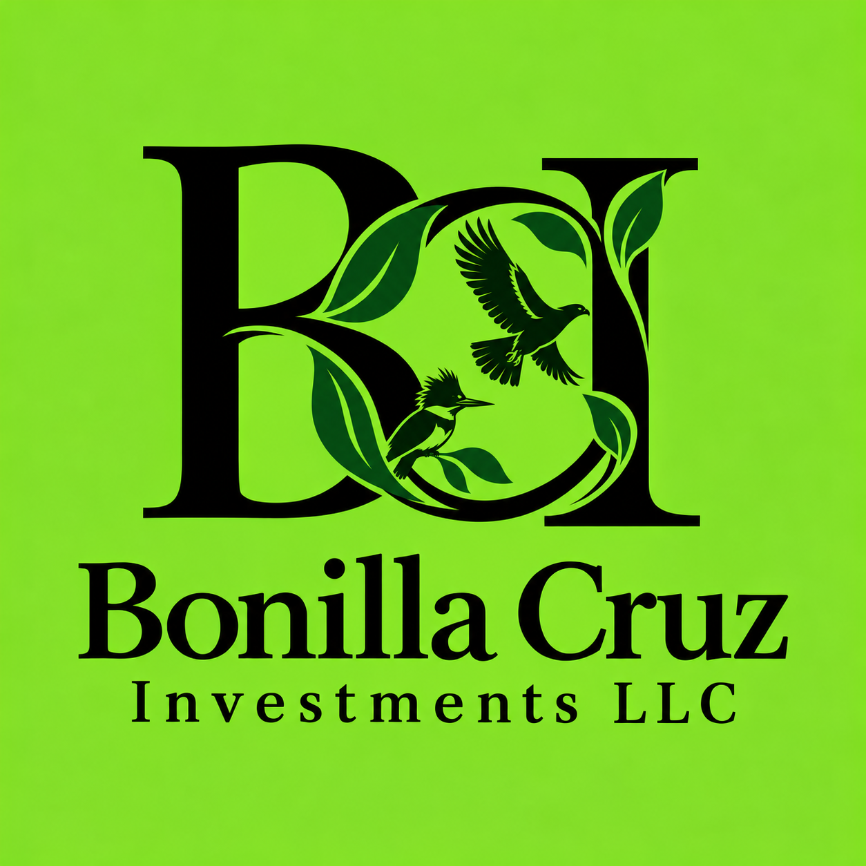 Bonilla Cruz Investments LLC.