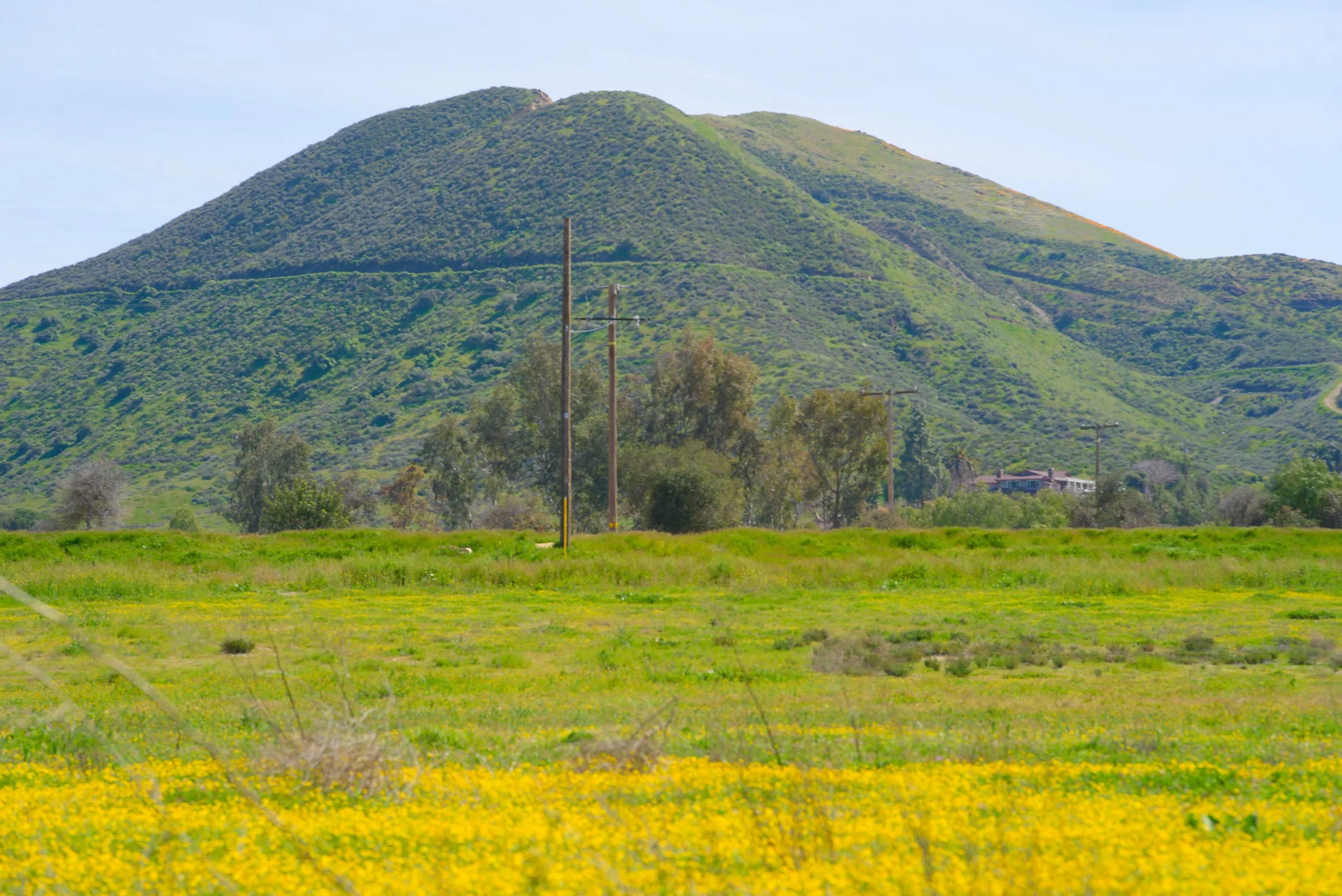 Green hillside with dense shrubbery and a partly cloudy sky, with power lines and a house at the bottom.