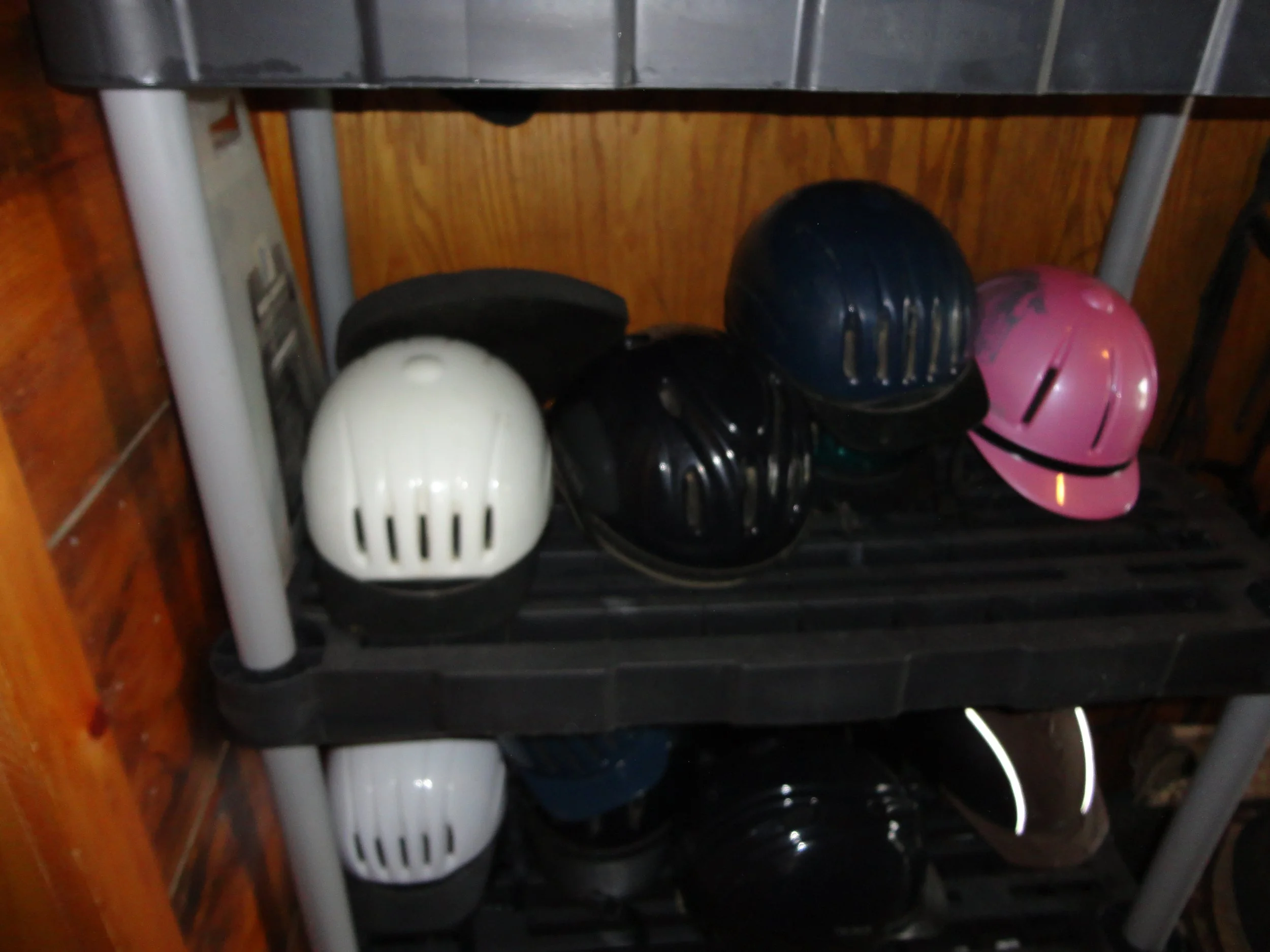 DSC00245.JPG