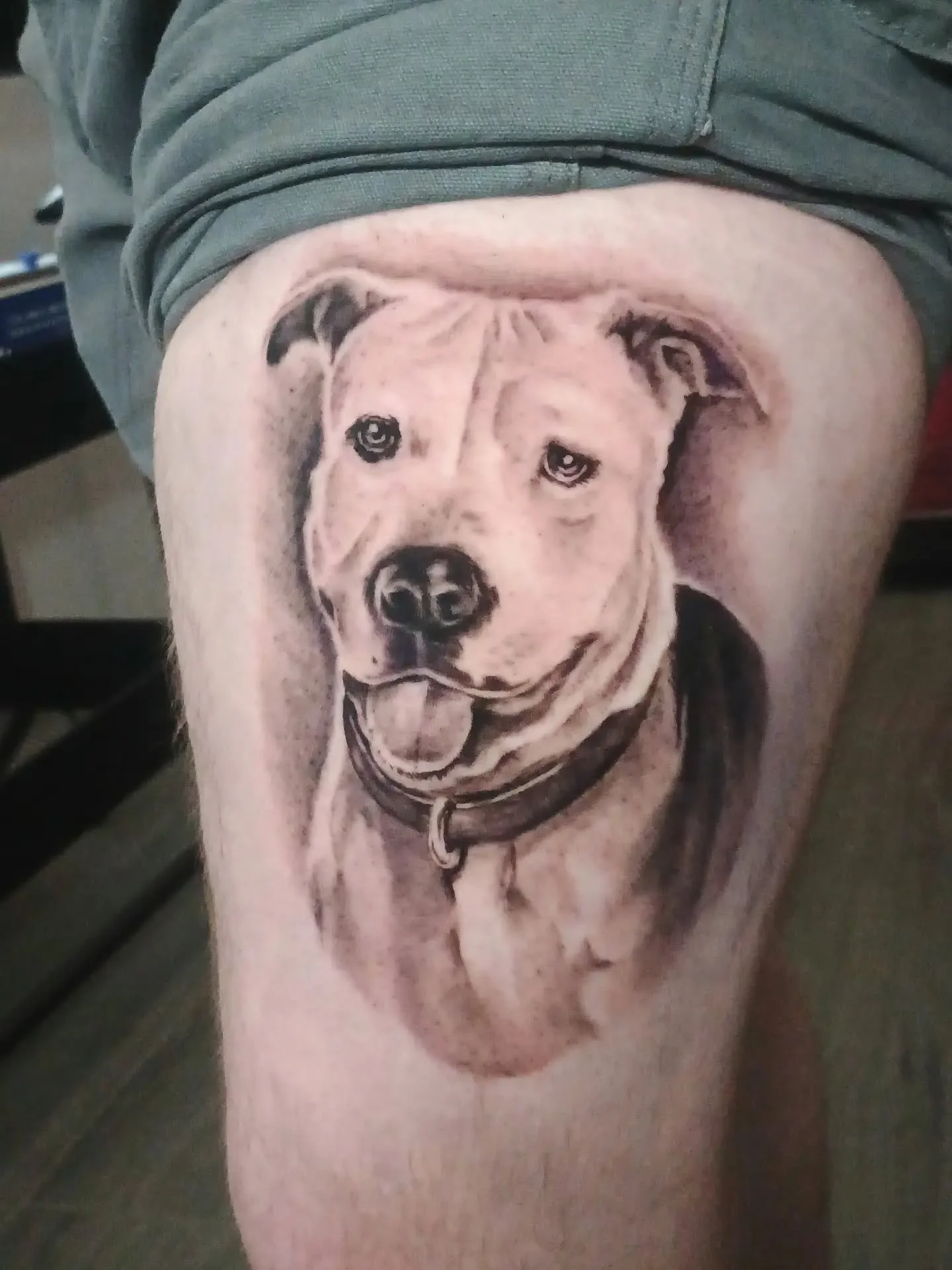Close-up of a realistic pit bull dog tattoo on a person's thigh