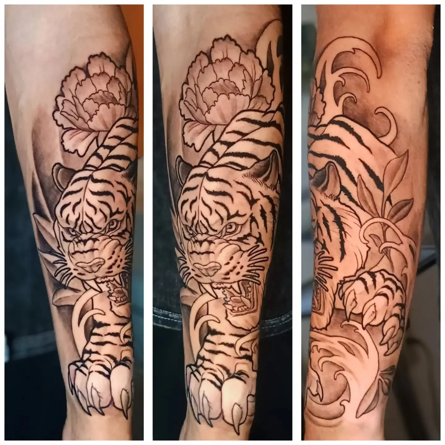 Three views of a detailed tiger and peony flower tattoo sleeve on a lower leg