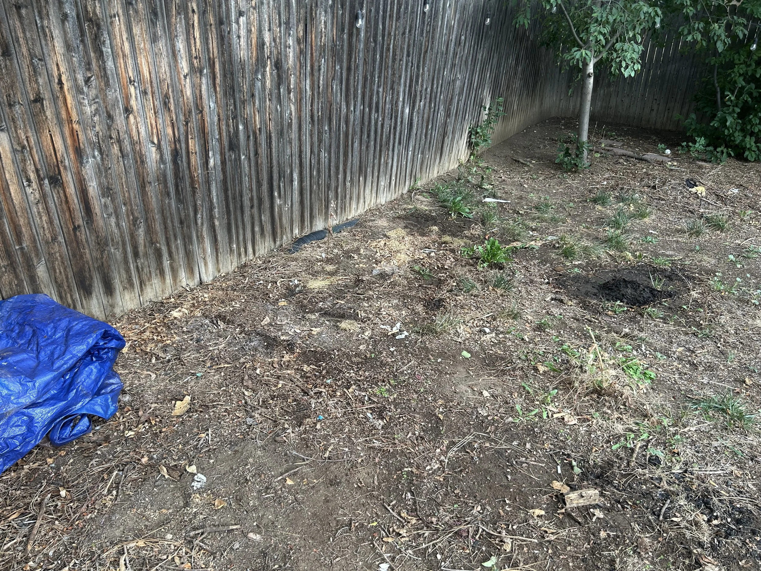 IMG_8073 (1).jpeg