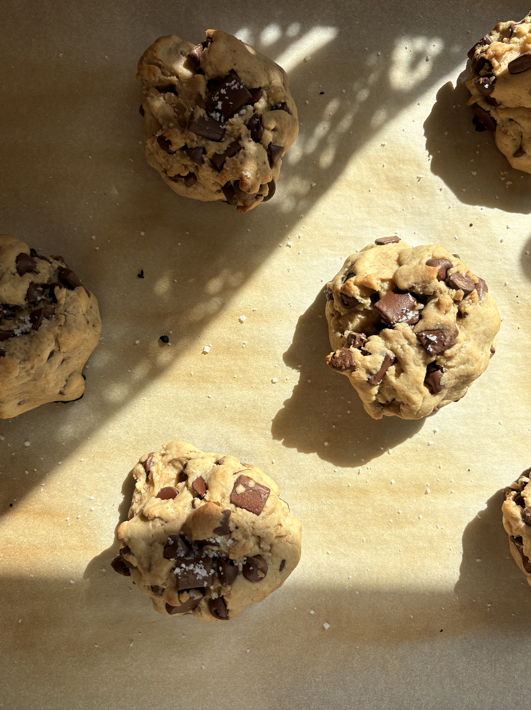 Close-up of several chocolate chip cookies on a parchment paper-lined baking sheet, with sunlight casting shadows.