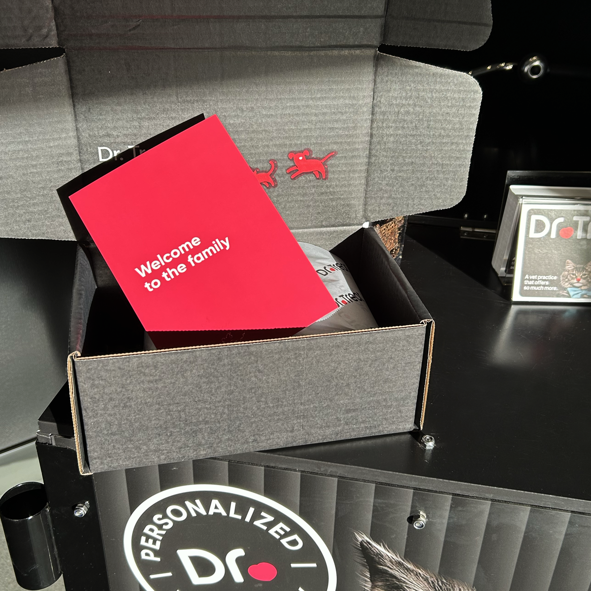 Dr. Treat Experience
