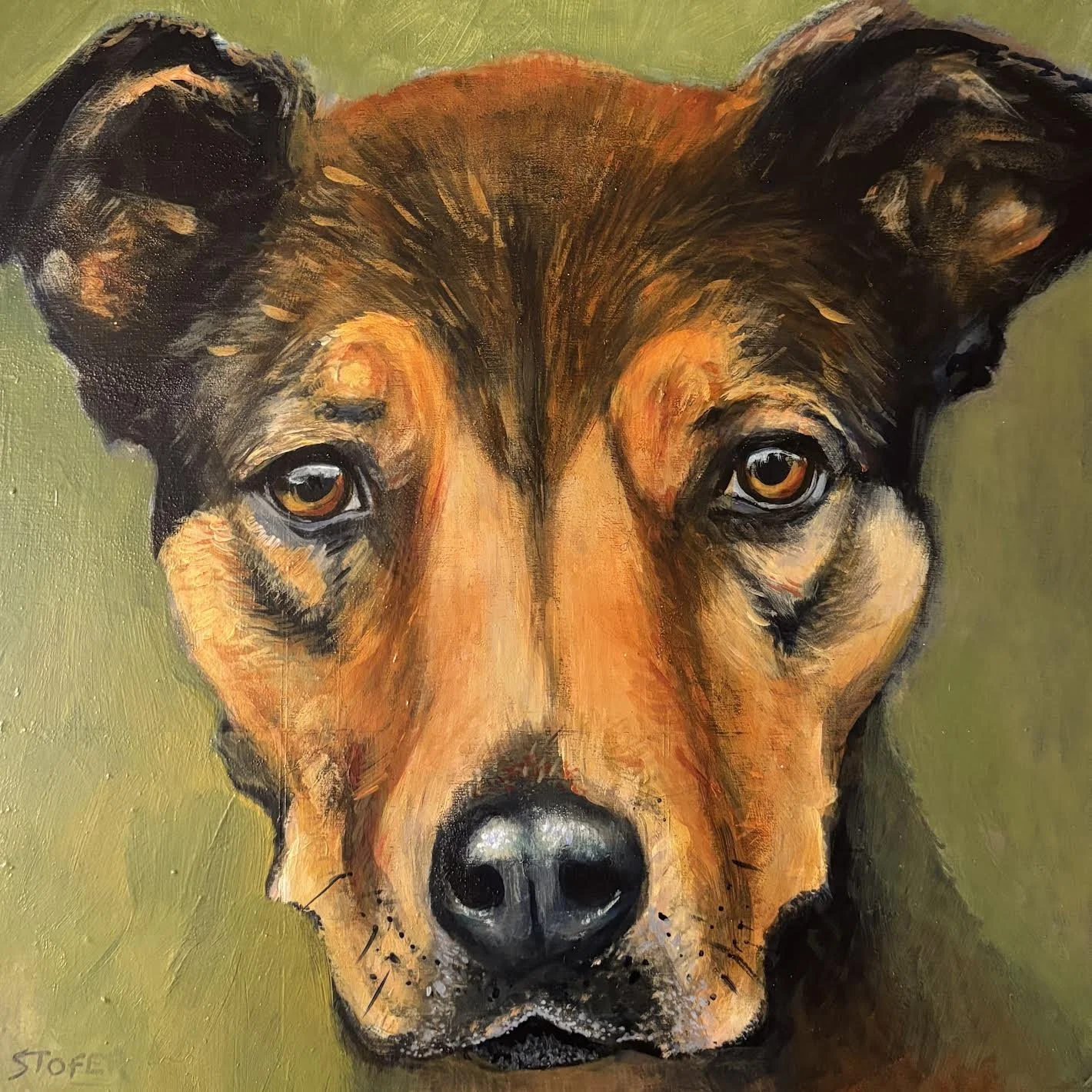 Spud  10x10"