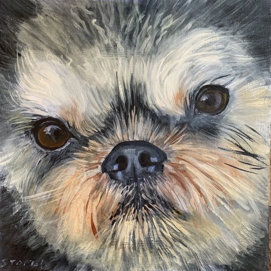Teddyboy 10x10"