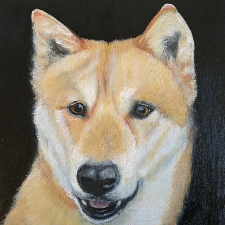 Kai   10x10"