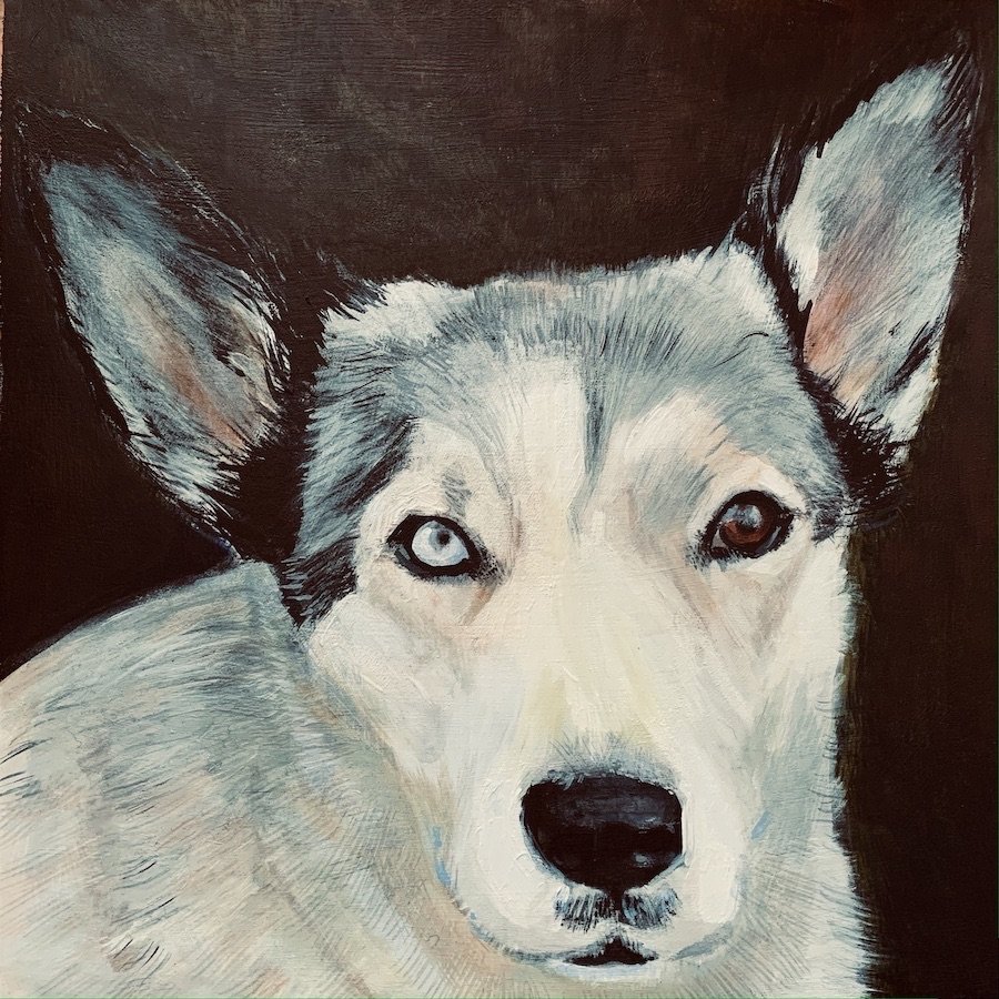 Scout  10x10"