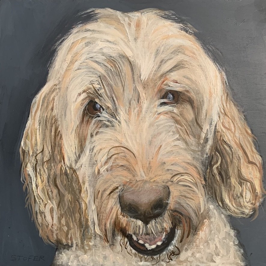 Merlin  10x10"