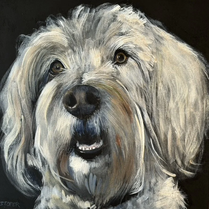 Gus  10x10"