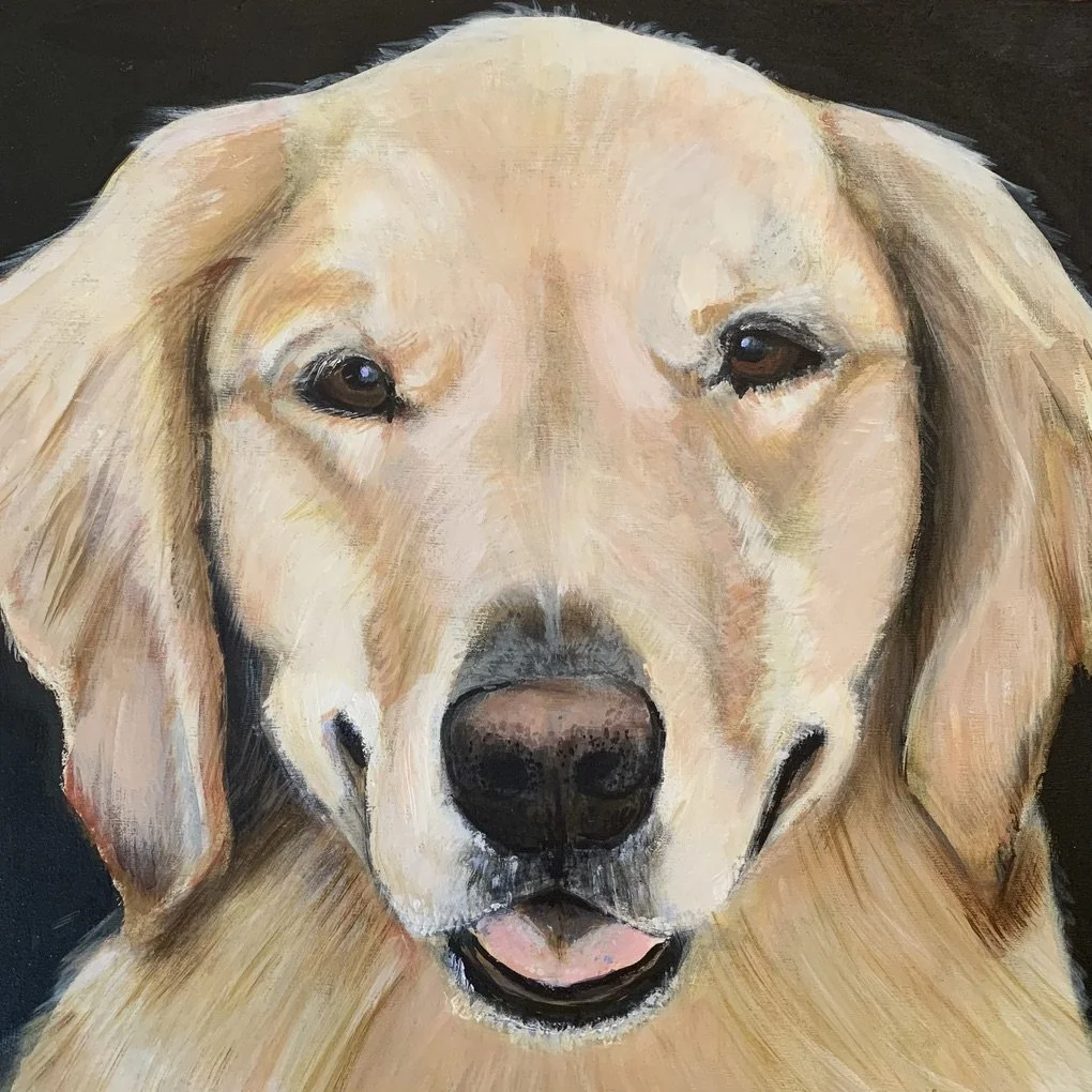Harlow-   a star!    10x10"