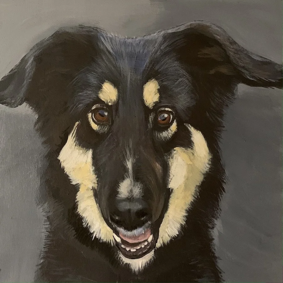 Balsam  10x10"