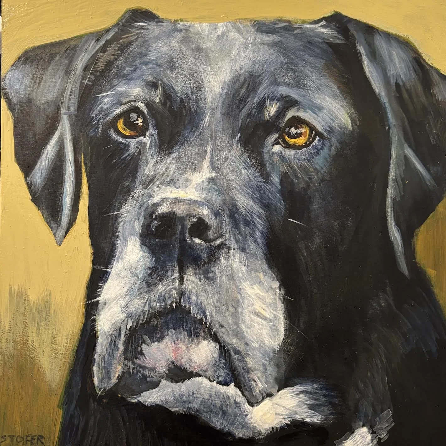 Lucy   10x10"