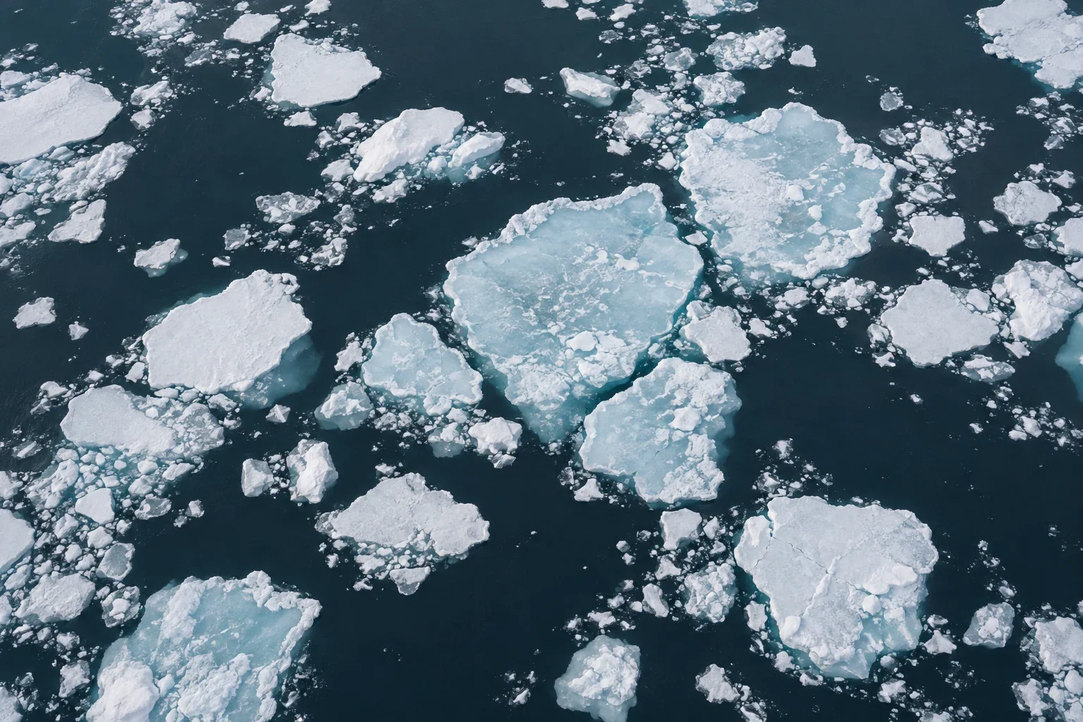 Read the Arctic Report Card beyond the headlines