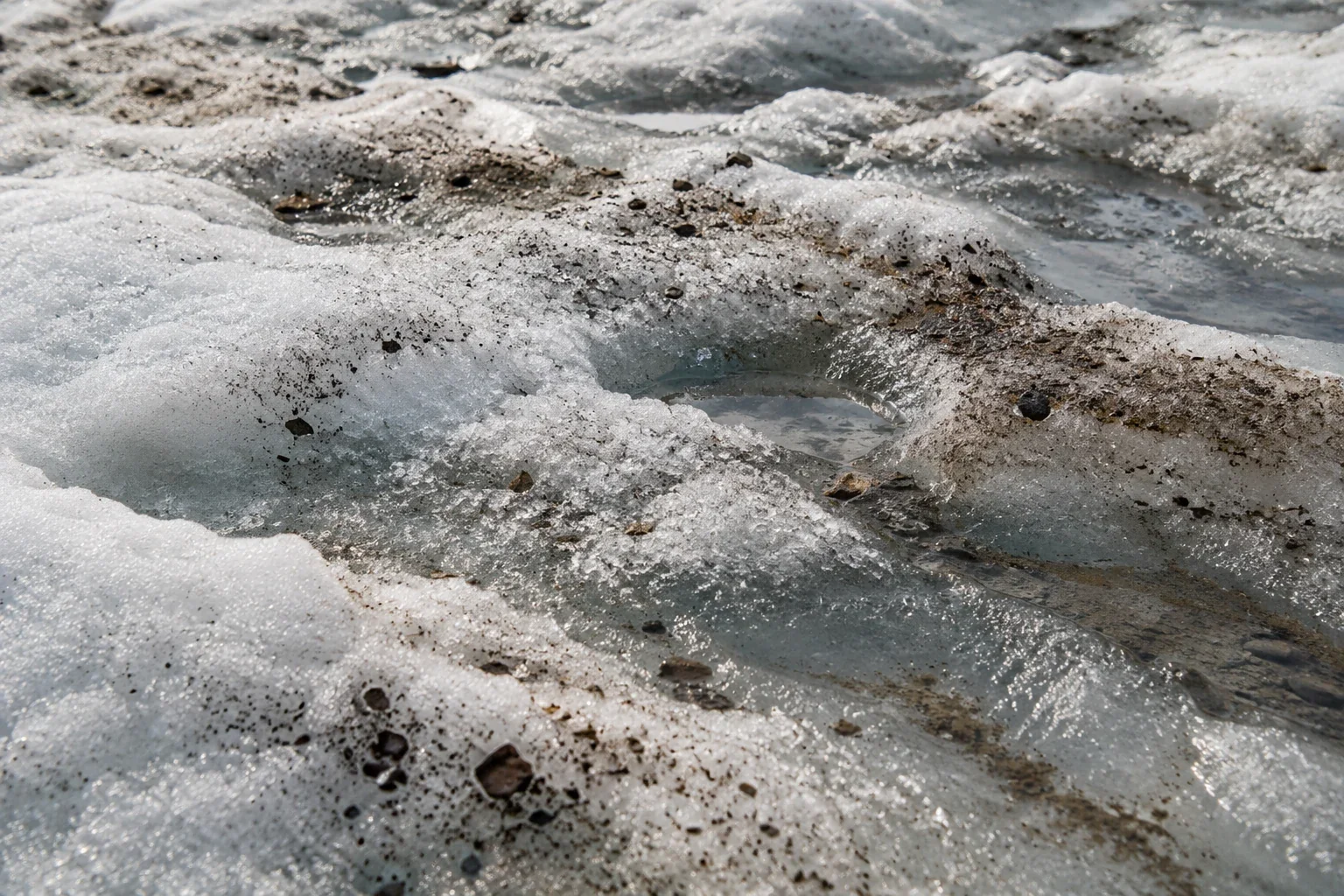Greenland's dark ice has more than one cause