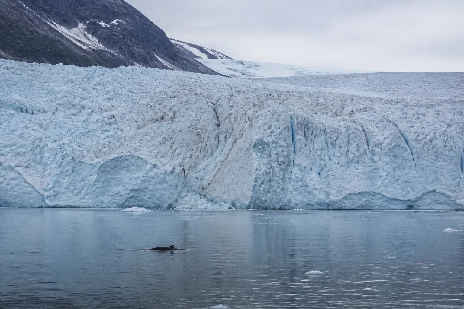 A broad Greenland glacier terminus meets calm grey-blue water.