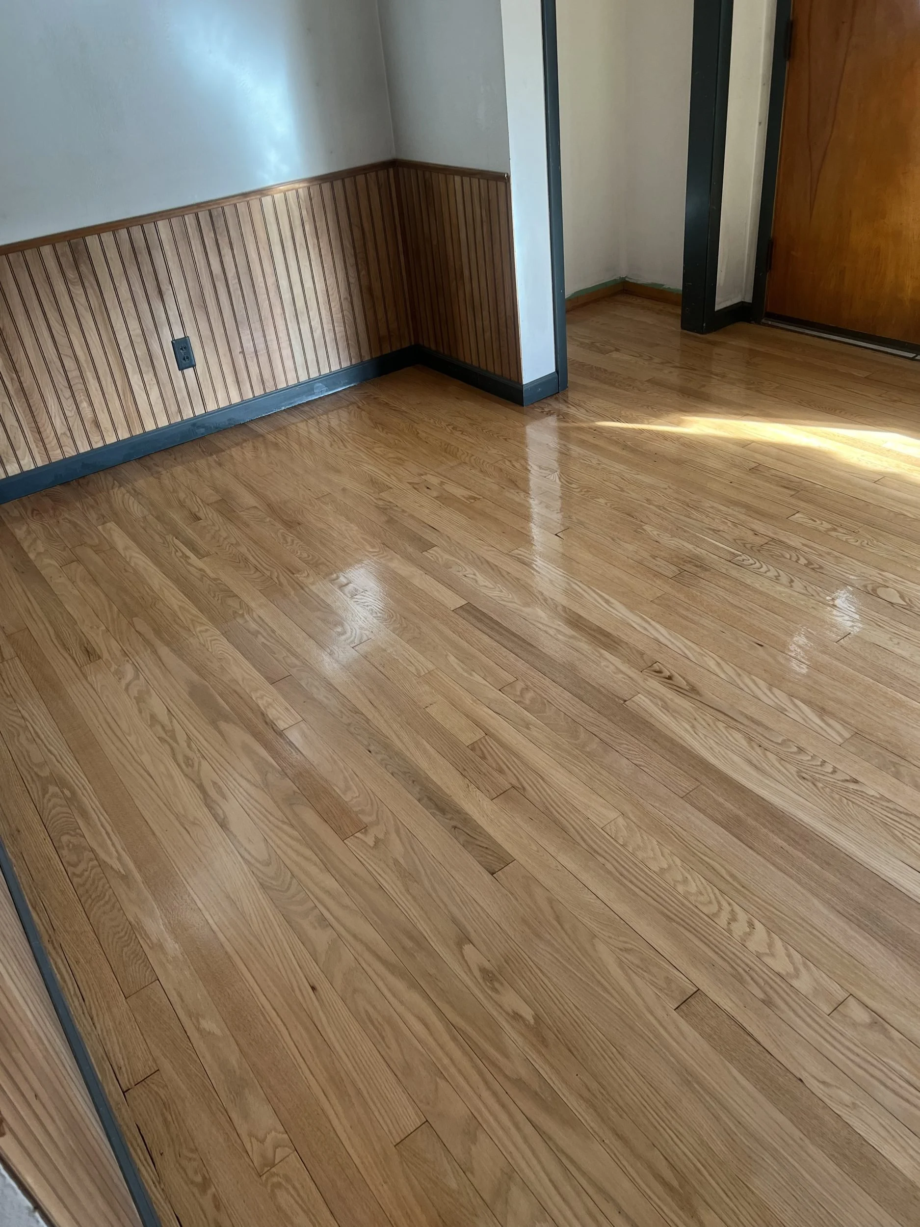 A corner of a room with wooden flooring, wainscoting on the wall, a power outlet, and a partially visible door.