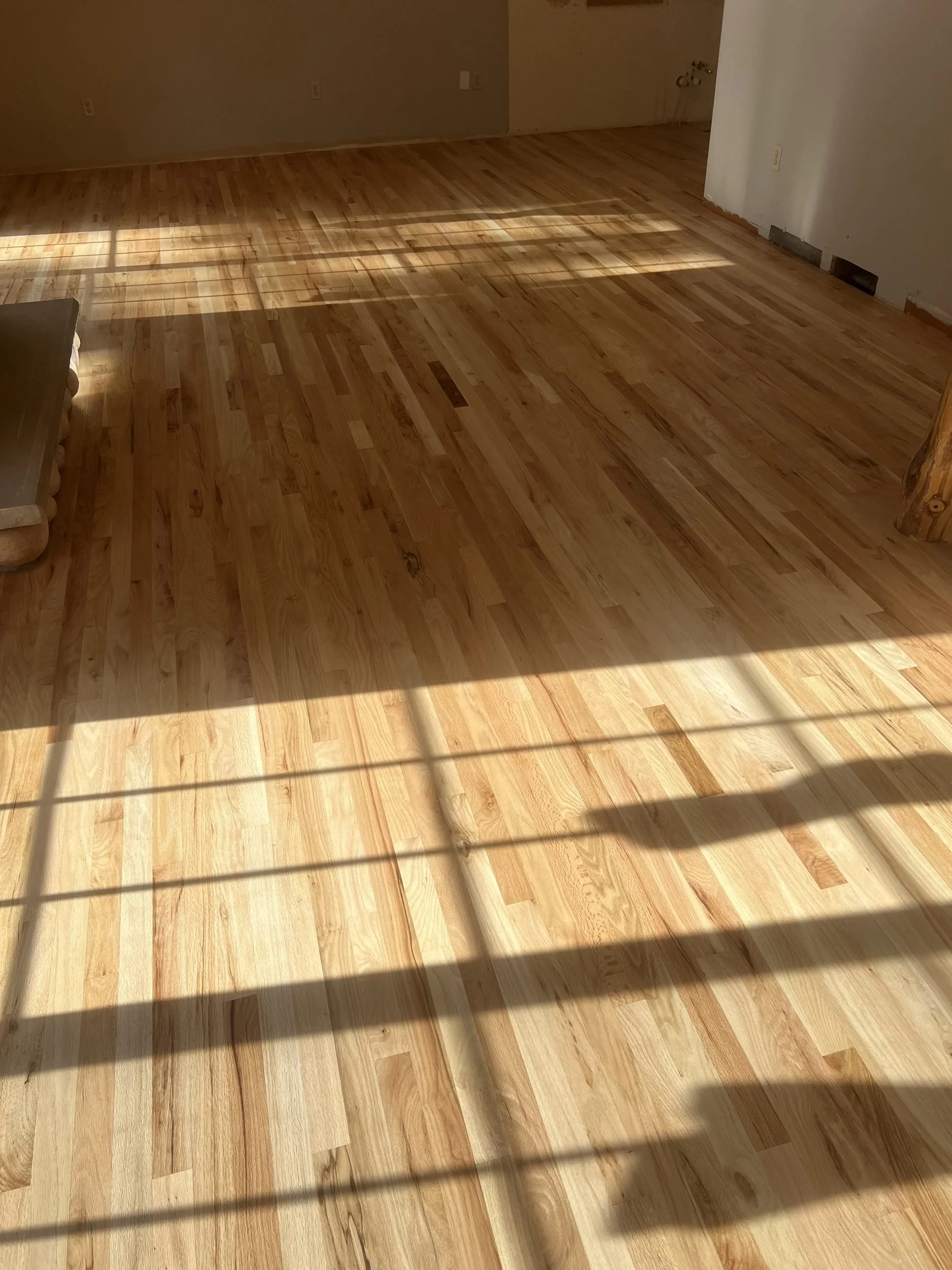 Sunlight across a newly finished hardwood floor