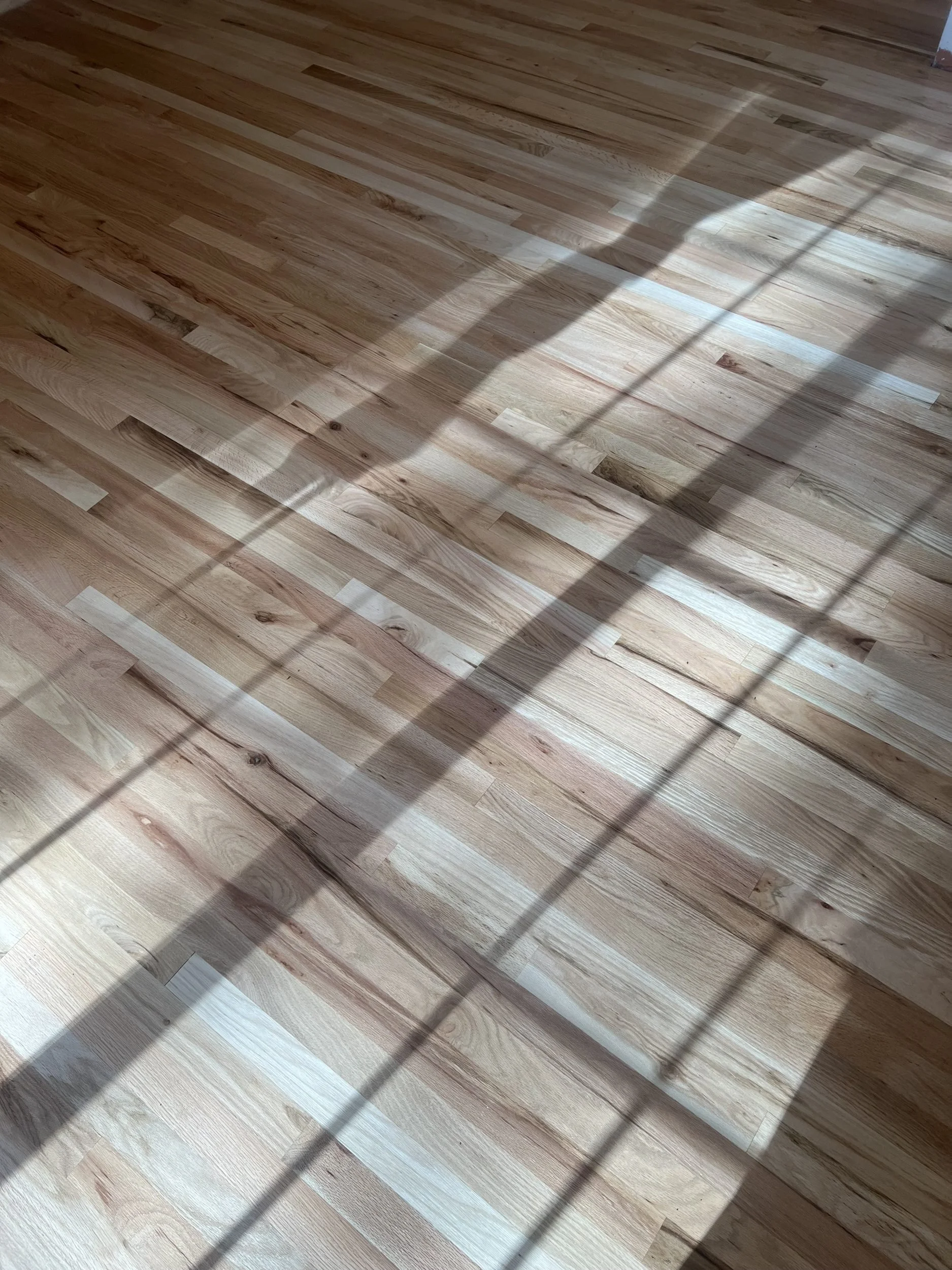 Sunlight casting shadows through window bars onto a wooden floor.