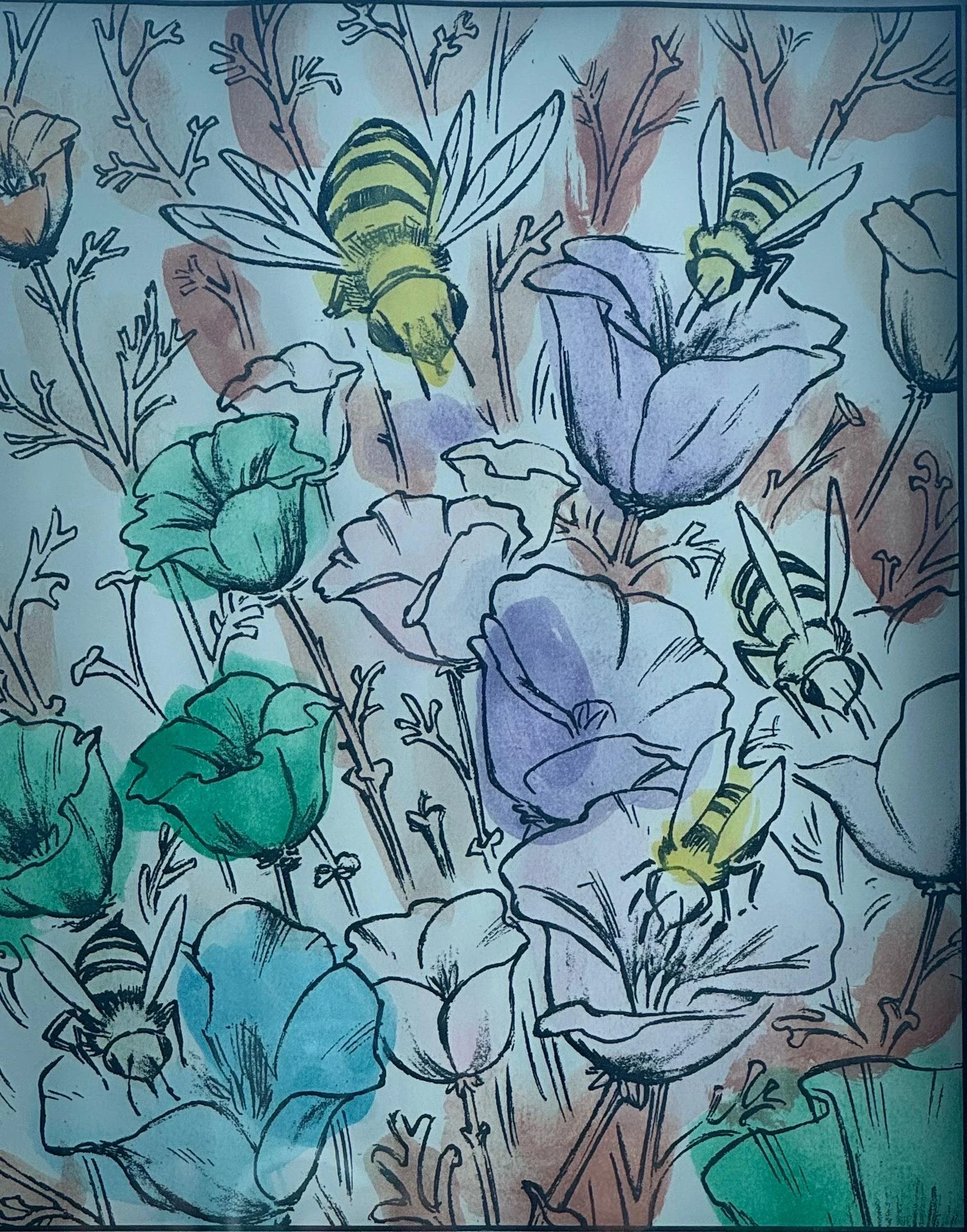 Roses