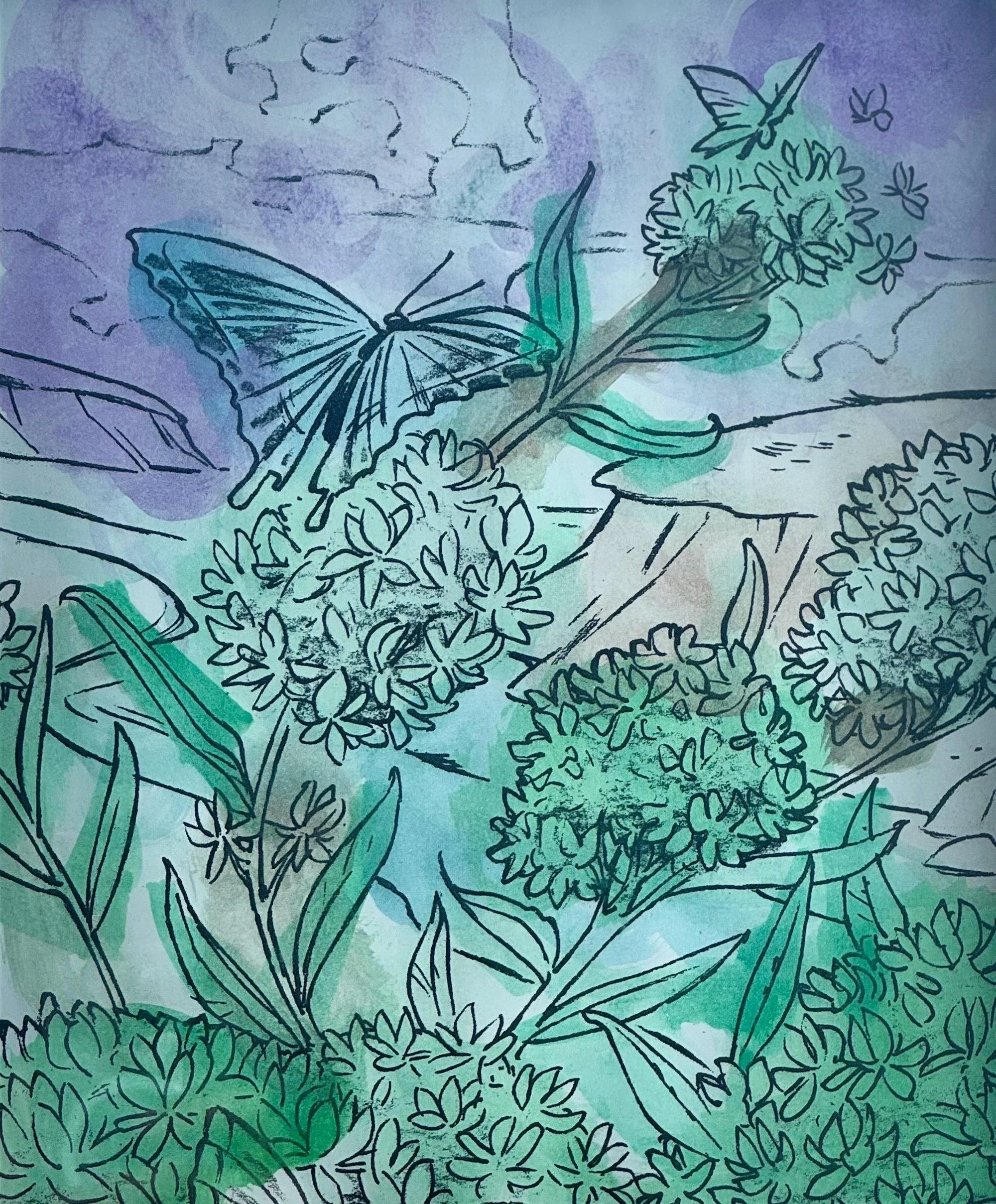 Butterflies