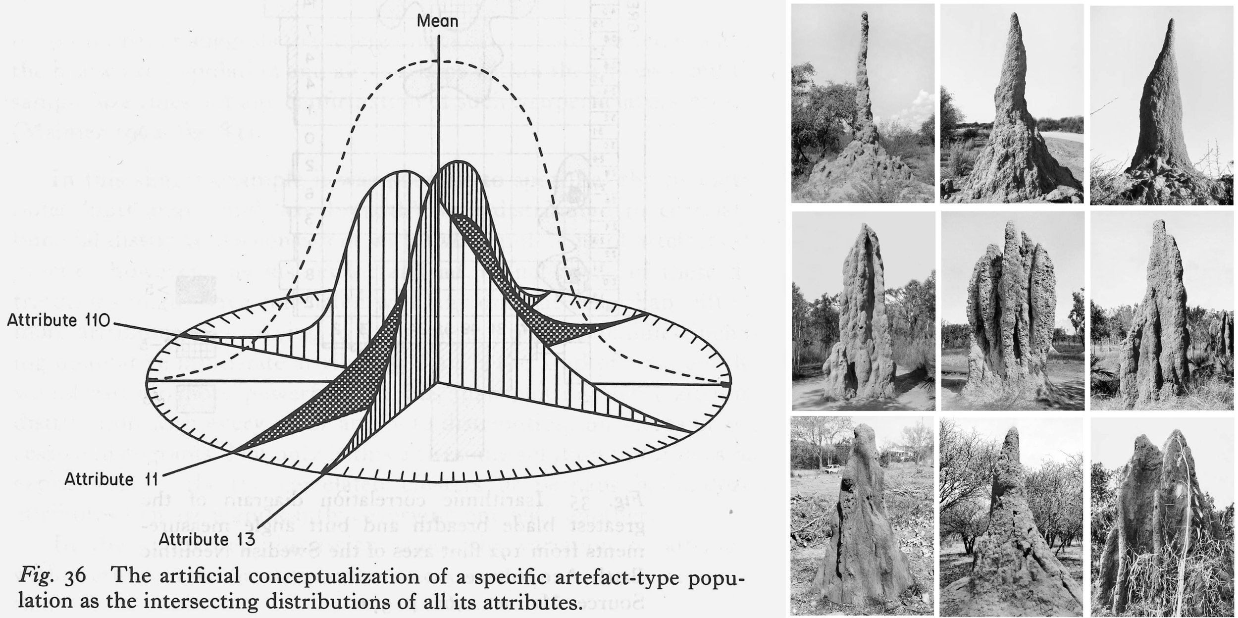 Collage showing a statistical distribution diagram of artifact attributes alongside nine photographs of tall, eroded earthen termite mounds.