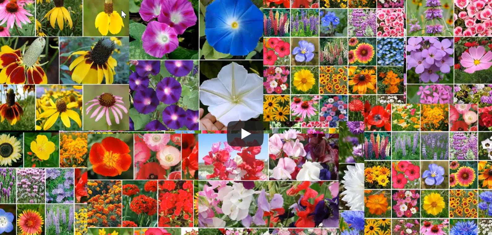 All Perennial Mix video for EdenBrothers.com  (I narrated and produced)