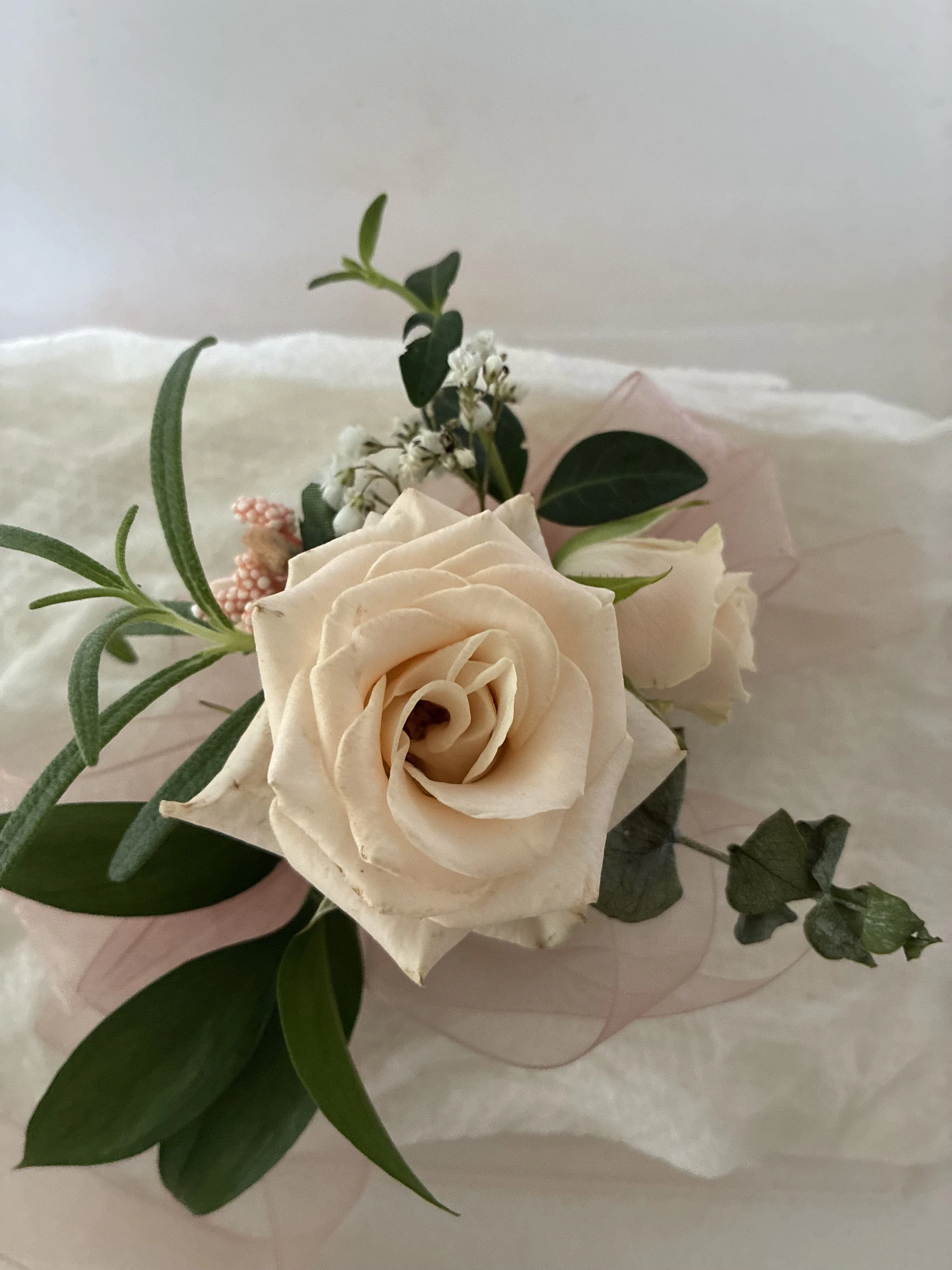 IMG_0124.jpeg