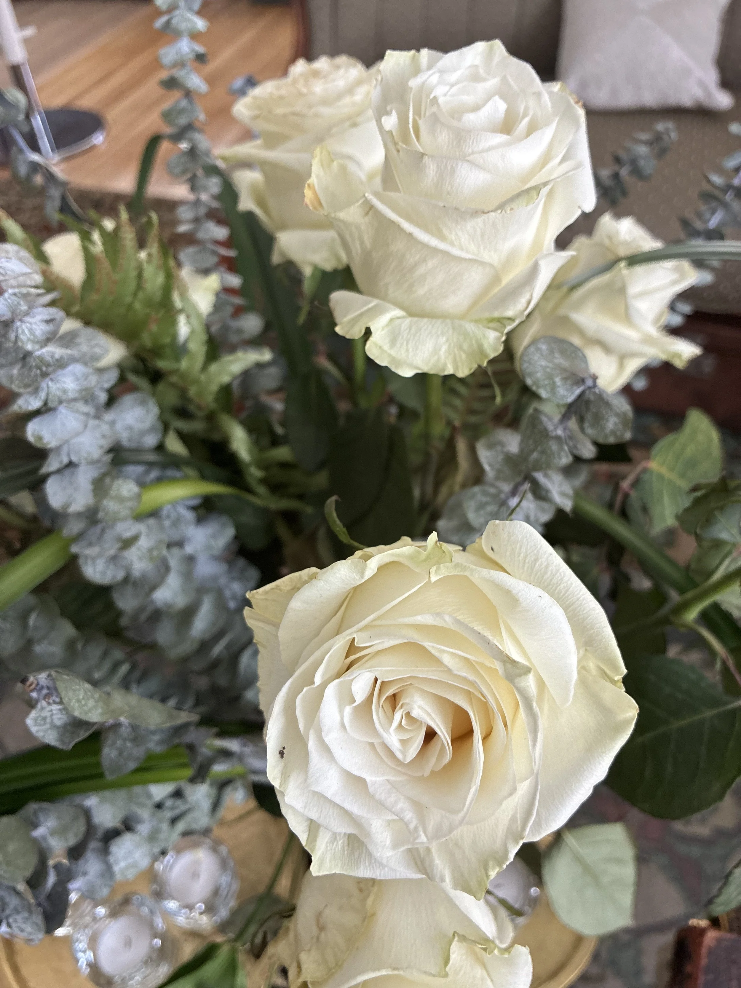 IMG_0223.jpeg
