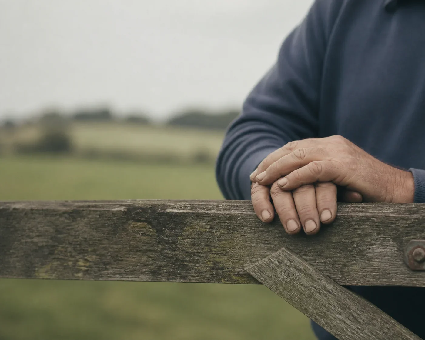 Weathered hands resting on a wooden farm gate with a green paddock behind