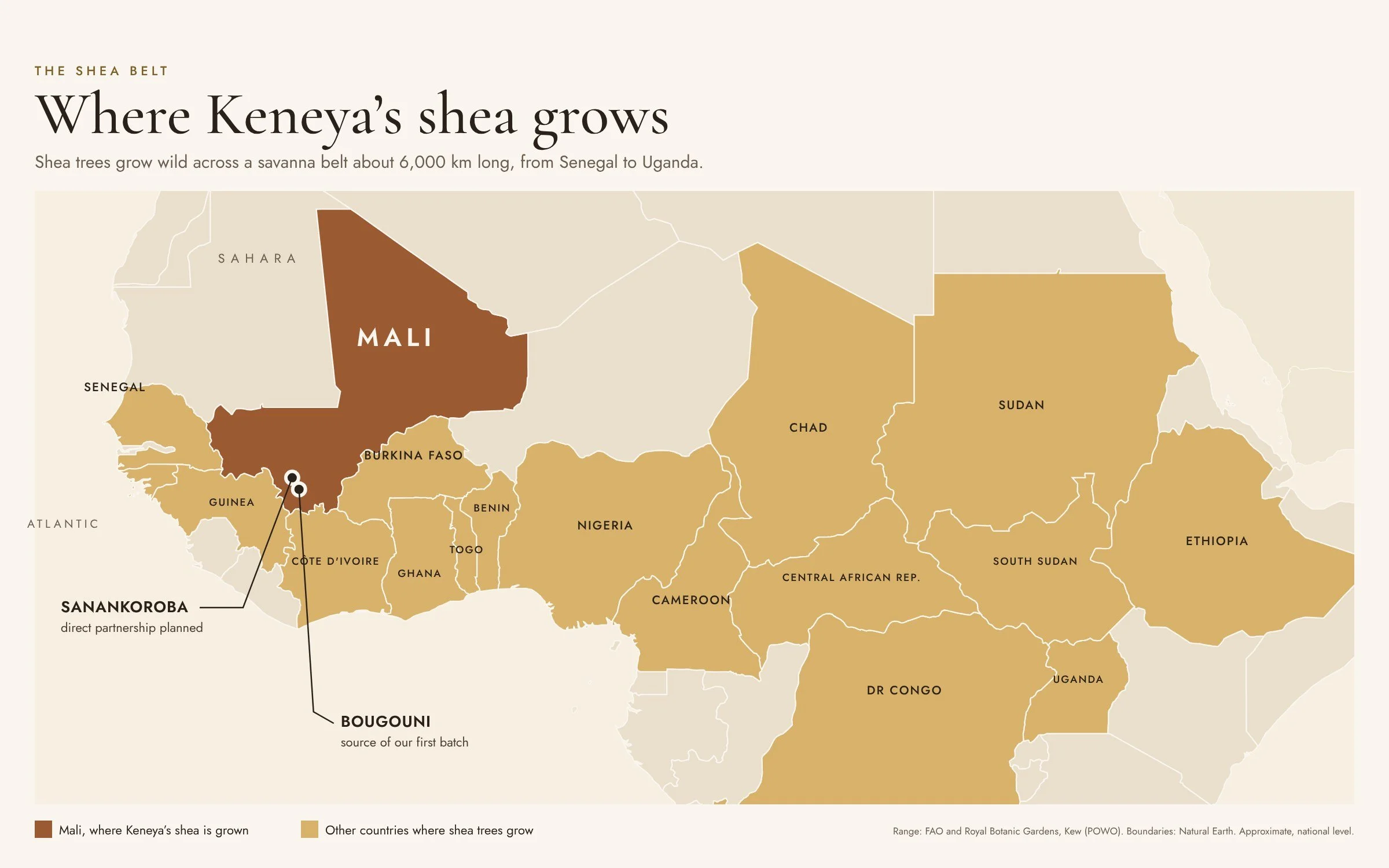 Map of Africa showing the shea belt, a band of savanna from Senegal to Uganda. Mali is highlighted, with Bougouni and Sanankoroba marked.