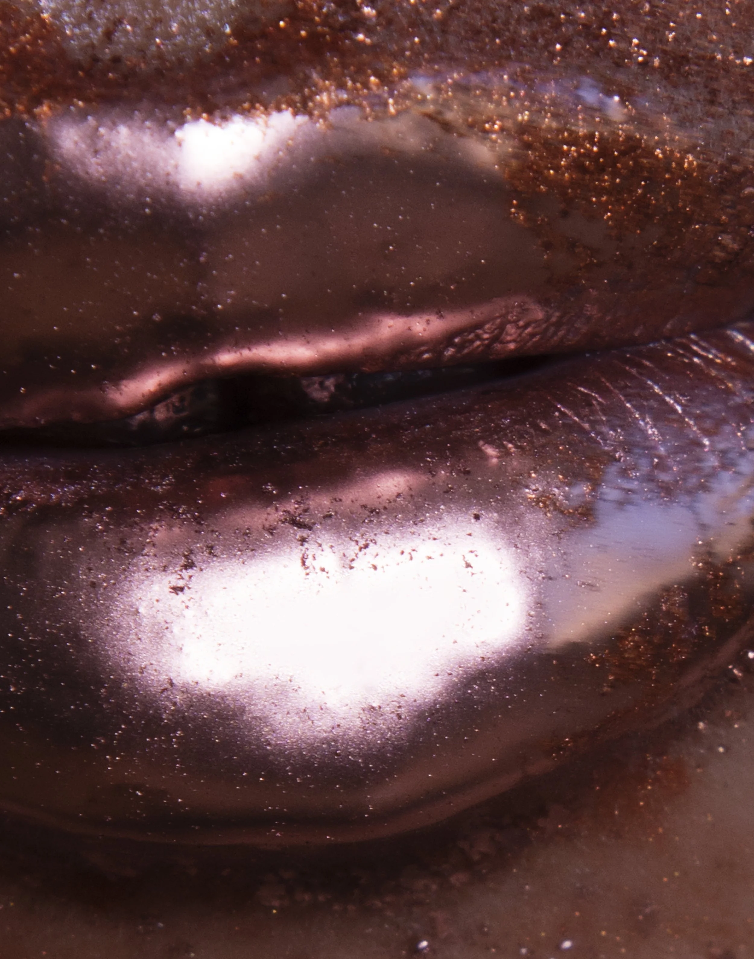 Alexis Metallic 10_v1.jpg